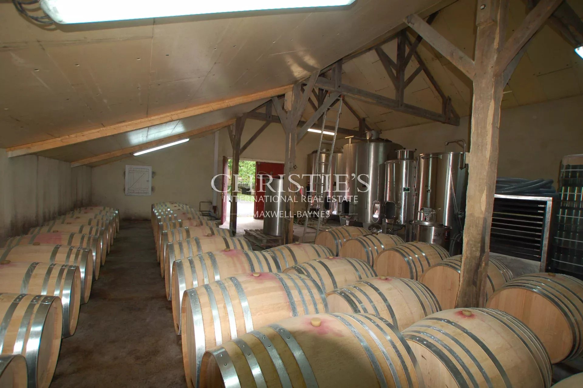 Vineyard's Image 9