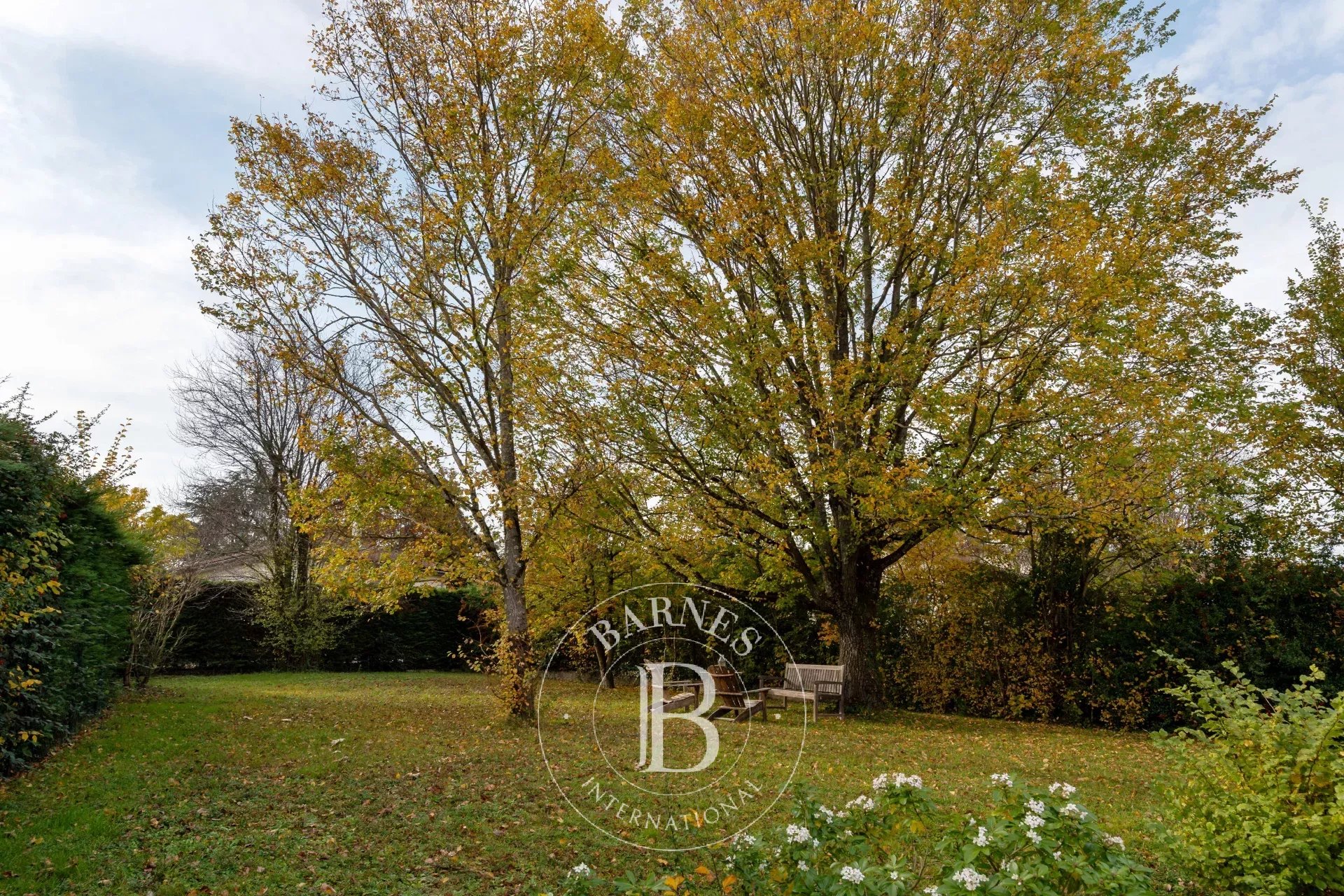 Ev Dardilly - picture 17