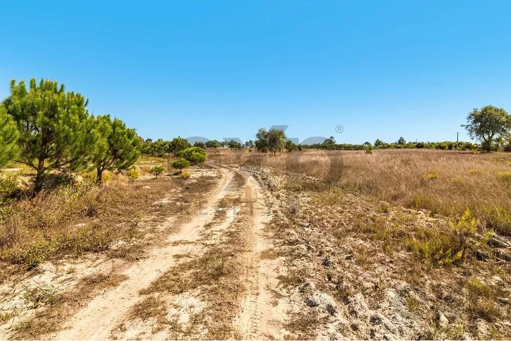 Unmissable Investment in Odemira 85507464 image 14