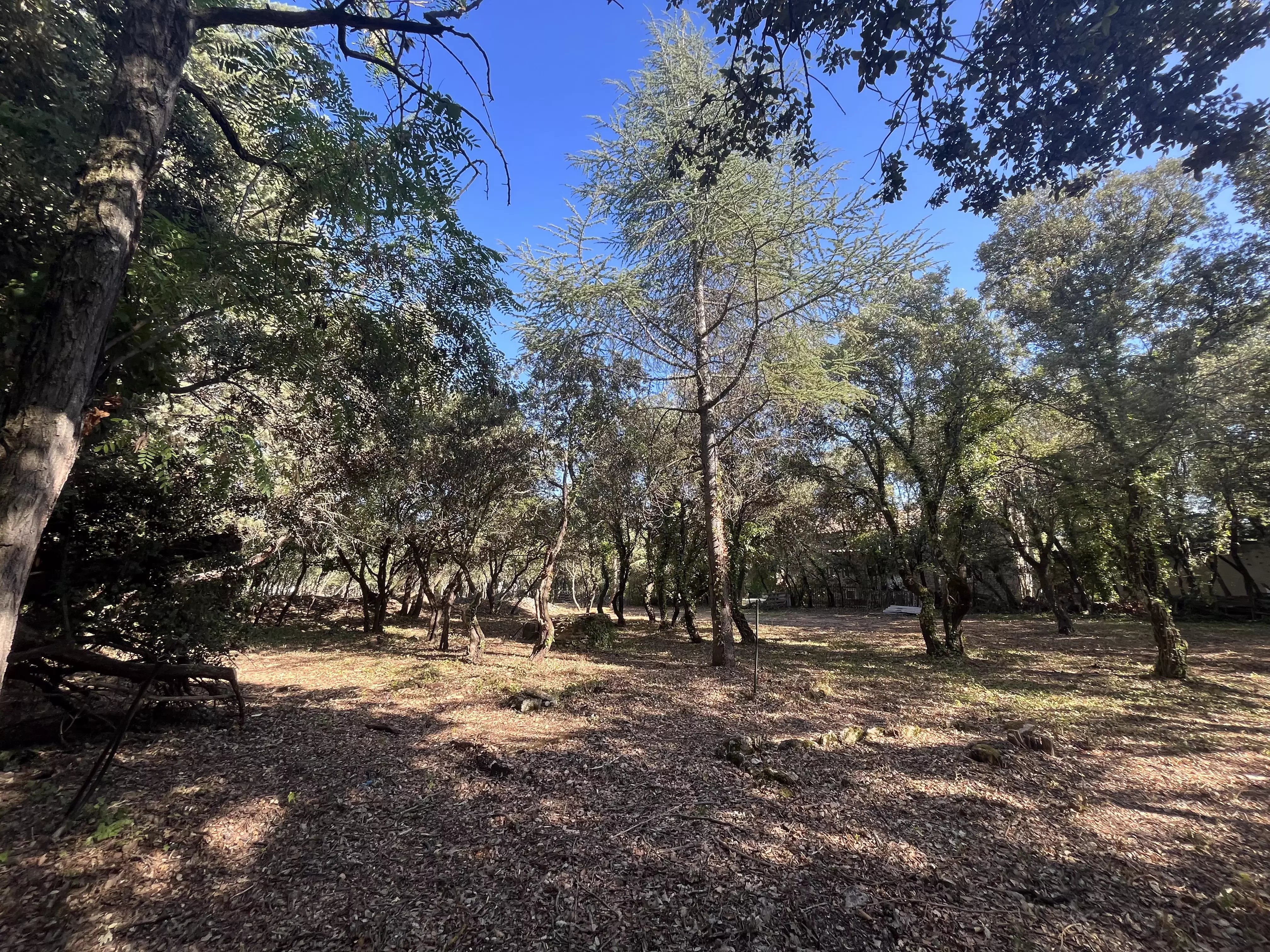 Terrain Constructible à Cabrières-d’Avignon