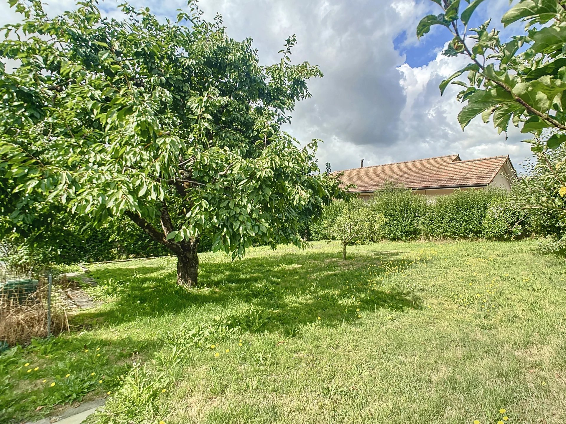 Maison de charme au calme avec jardin