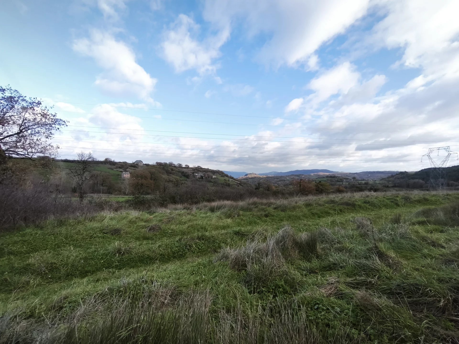 Agence immobilière de CAUMES DAVID