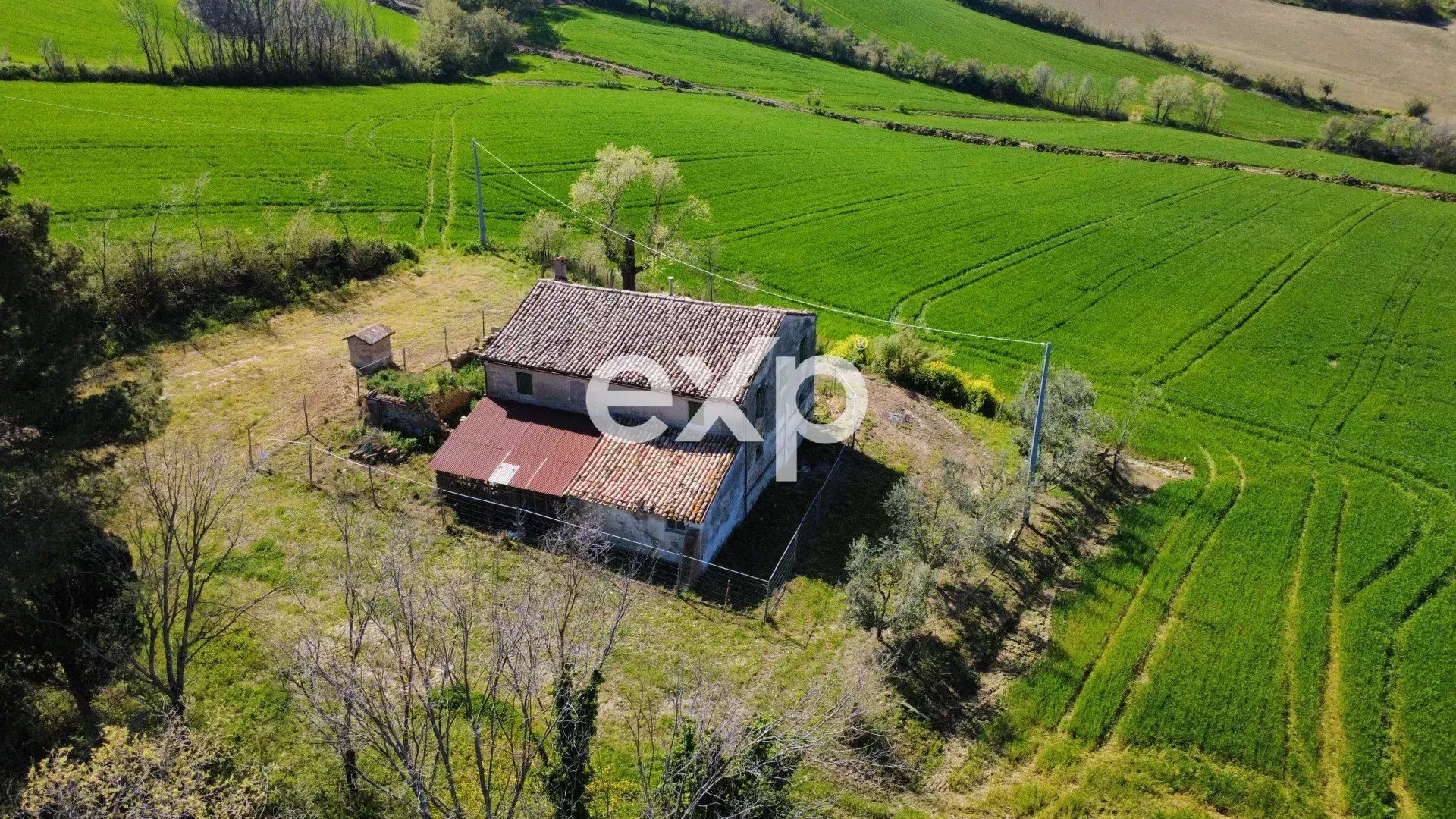 Via San Filippo snc - 61038 - Pesaro-Urbino - Terre Roveresche