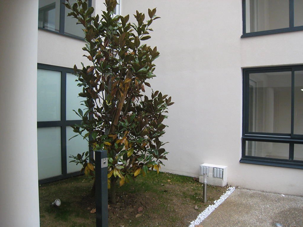 524603 Location Lyon 8ème