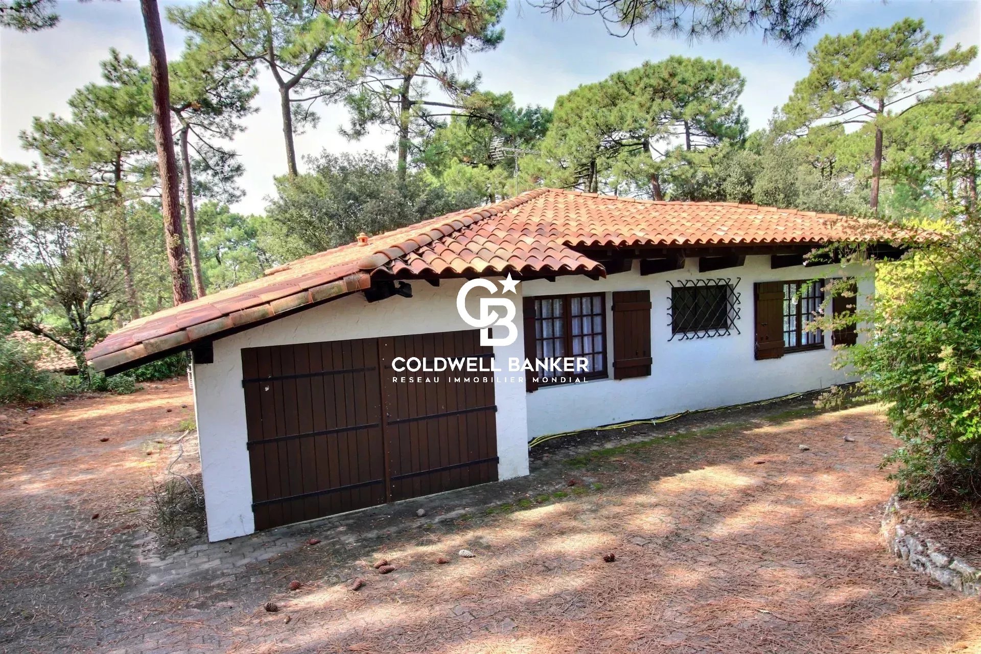 Agence immobilière de Silver Coast Int. Realty