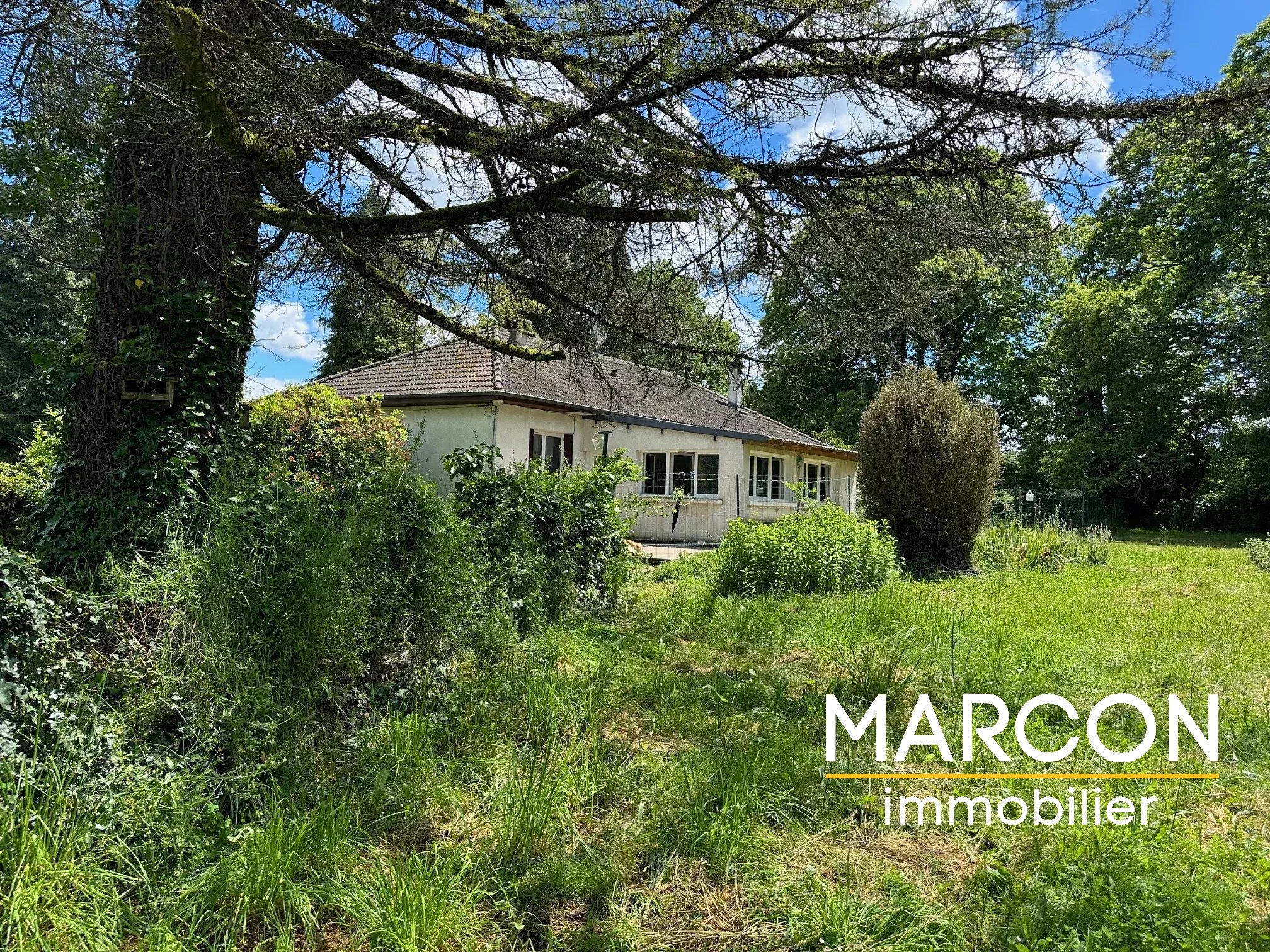 Agence immobilière de 