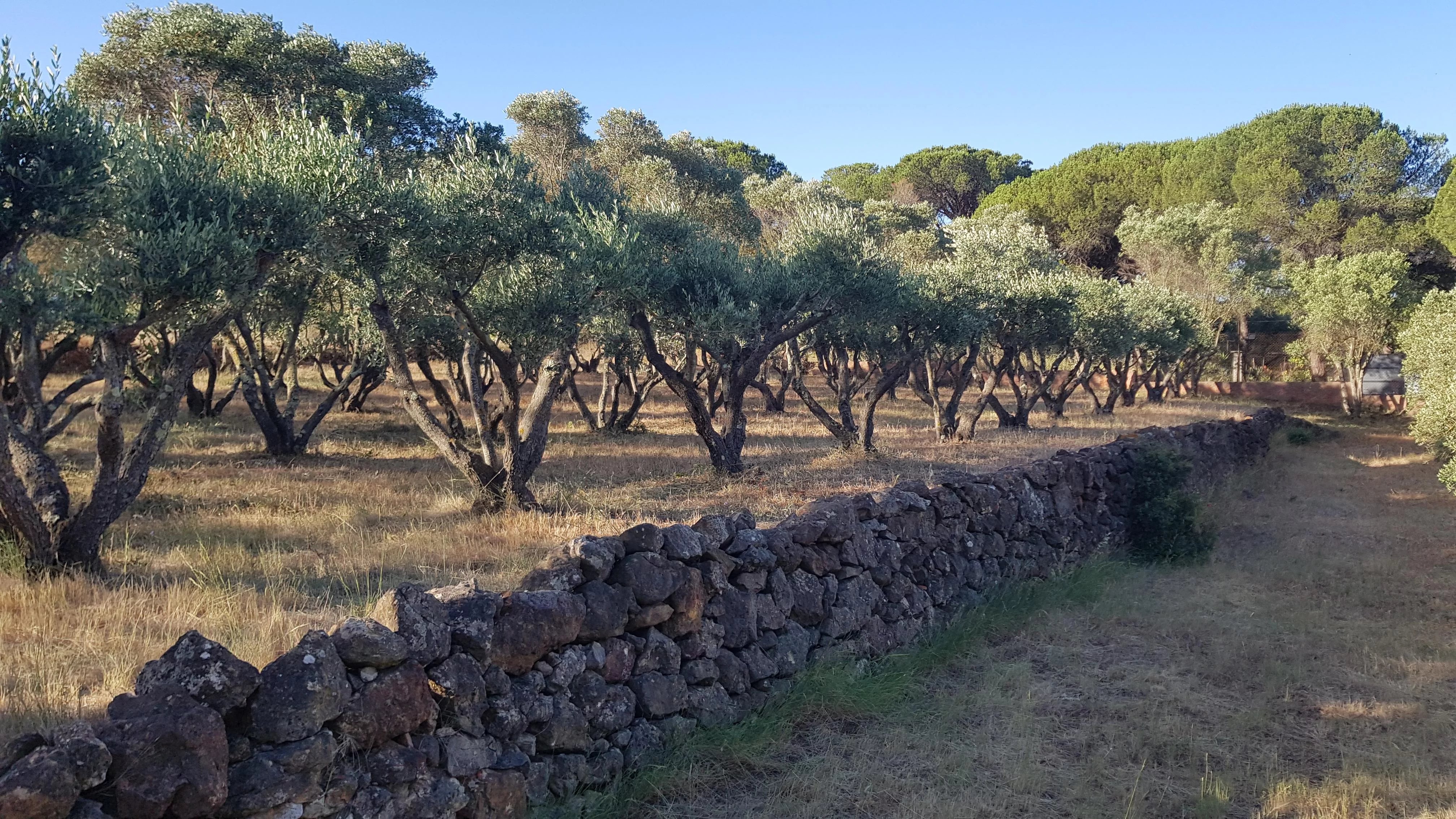 Propriété à vendre Bizanet, Aude