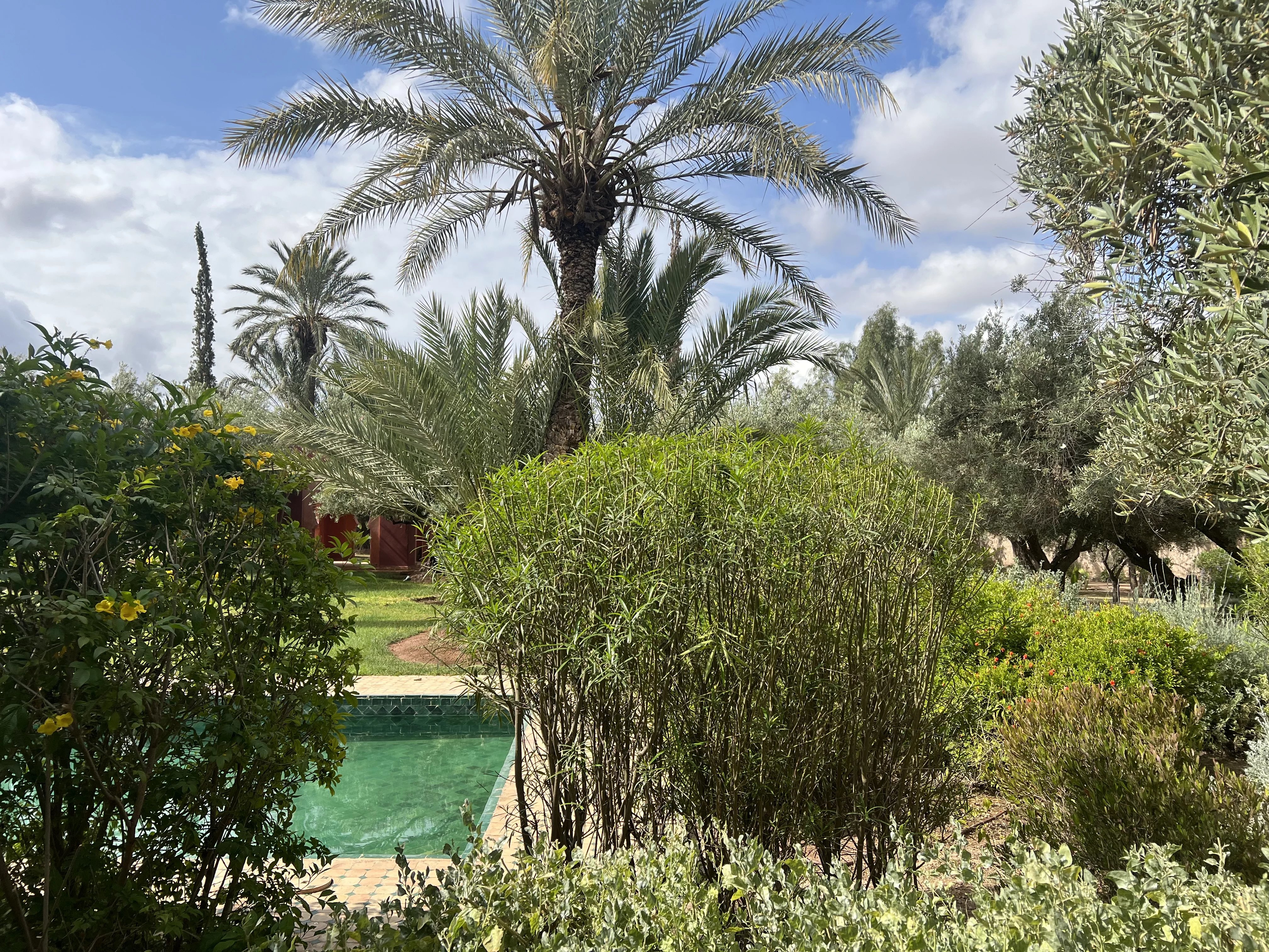 CHARM PROPERTY PALMERAIE GOLDEN TRIANGLE