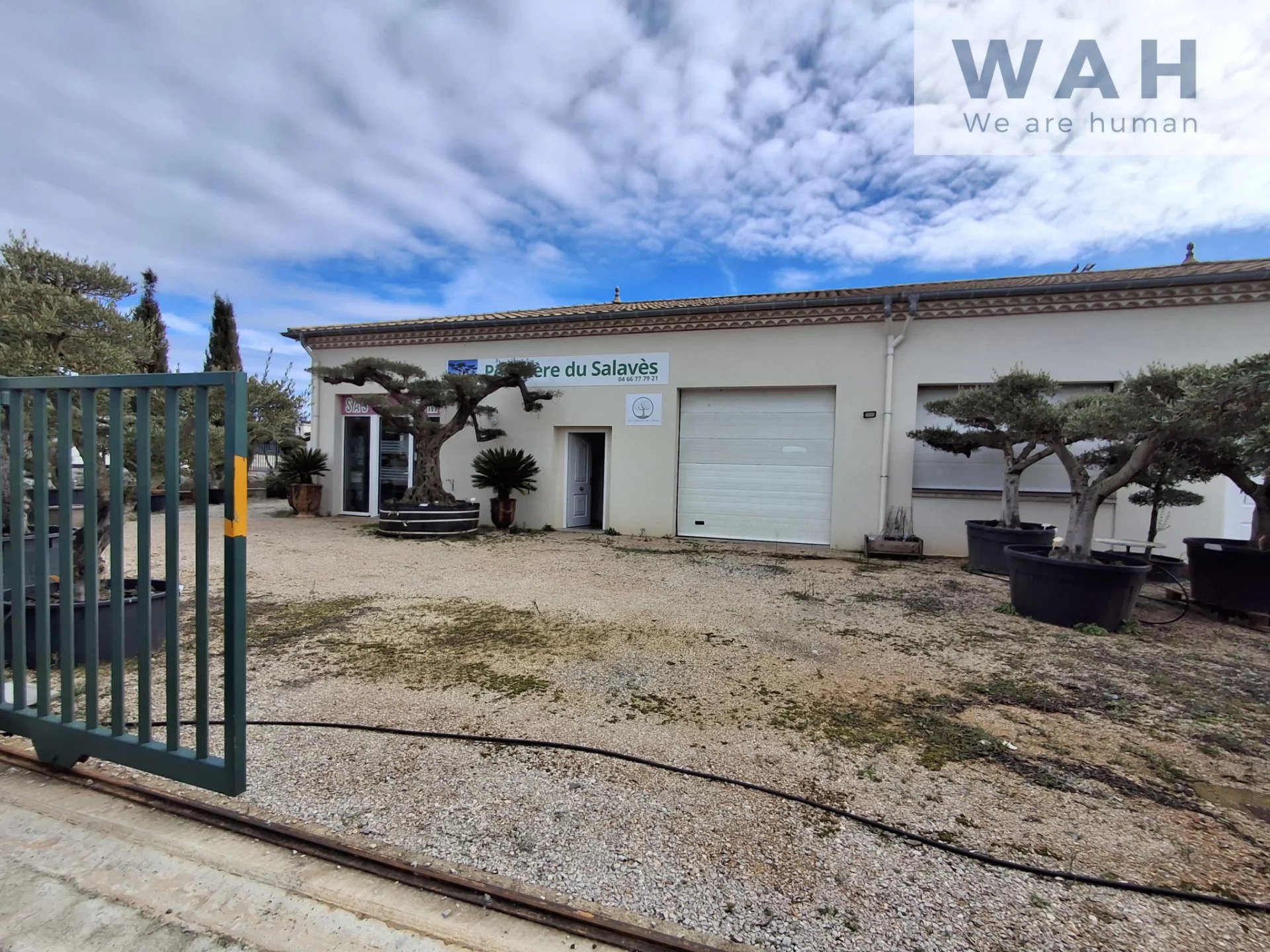 Vente Appartement Sauve