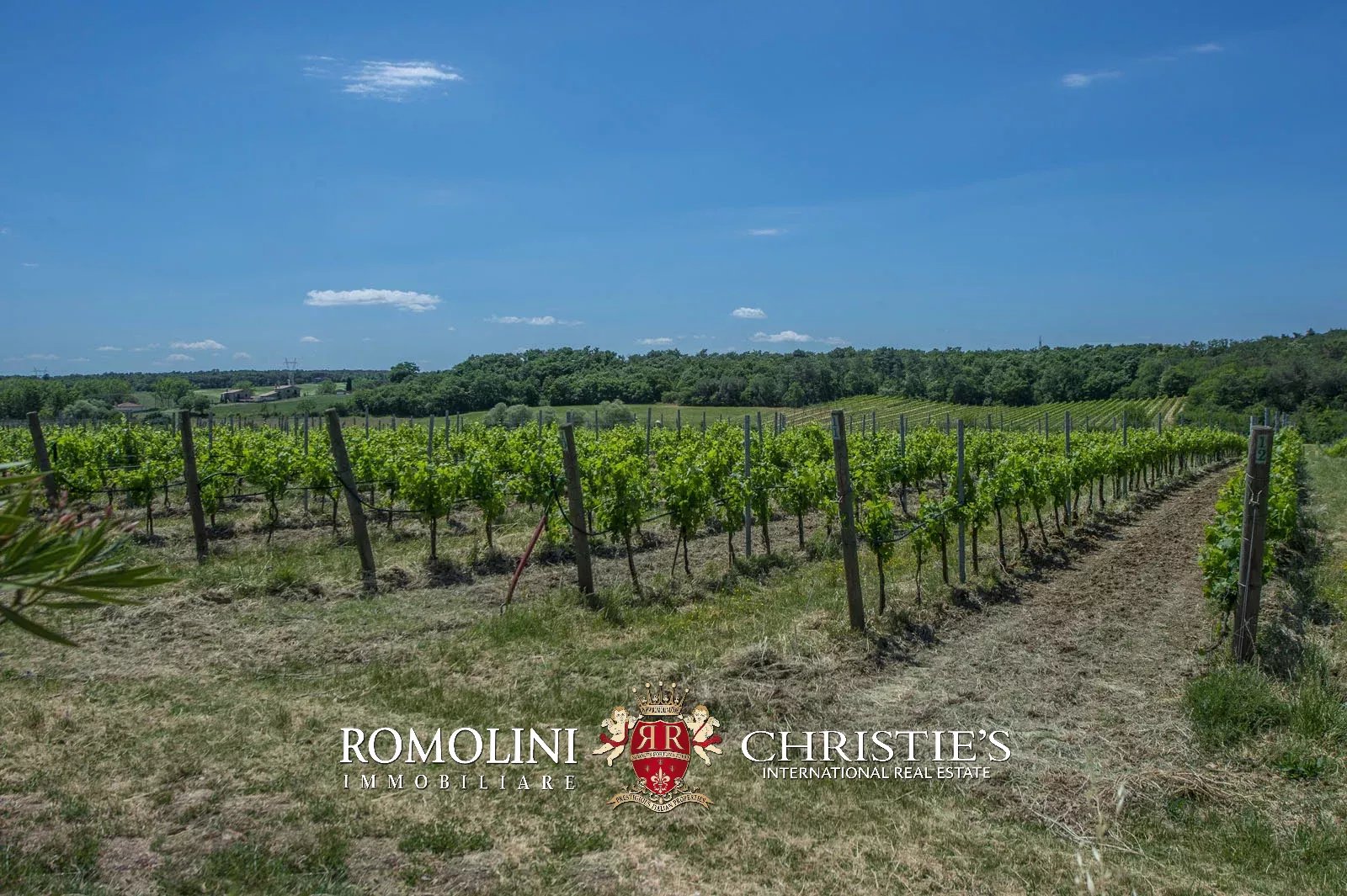 7 Bedroom Vineyard's Image 12