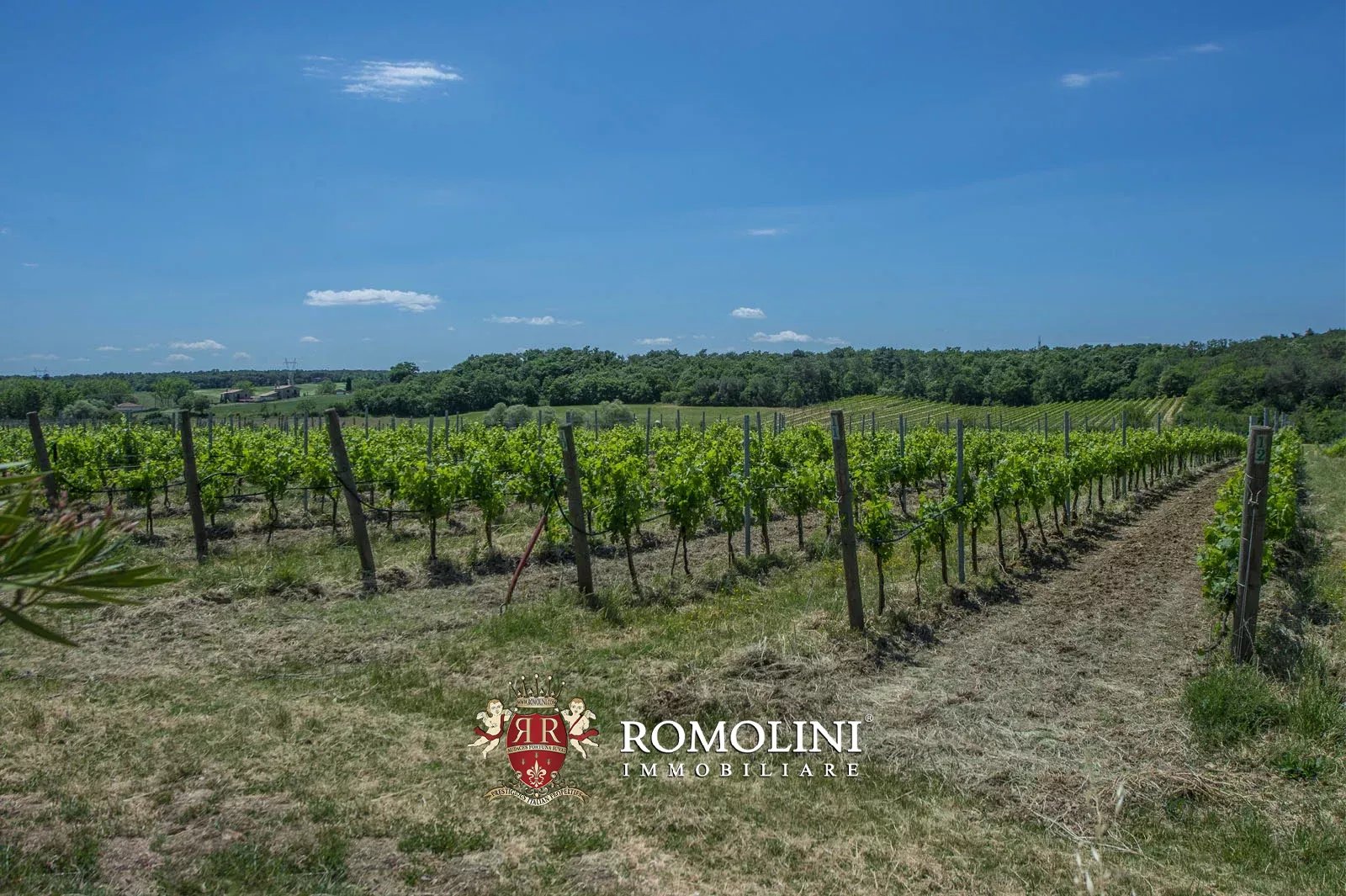 7 Bedroom Vineyard's Image 12