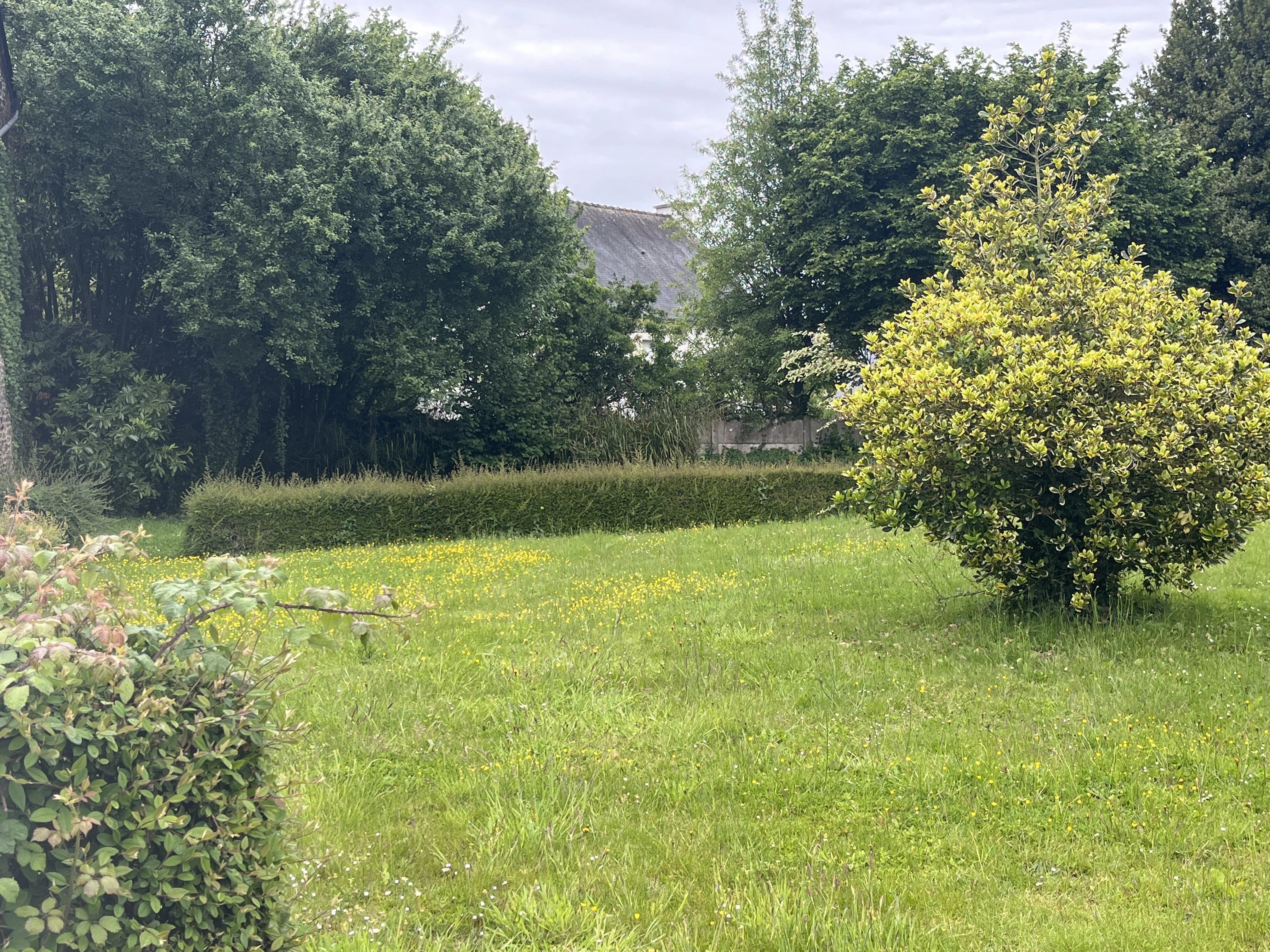 Terrain constructible viabilisé à La Vicomté-sur-Rance – Proche Rance, Dinan et Saint-Malo