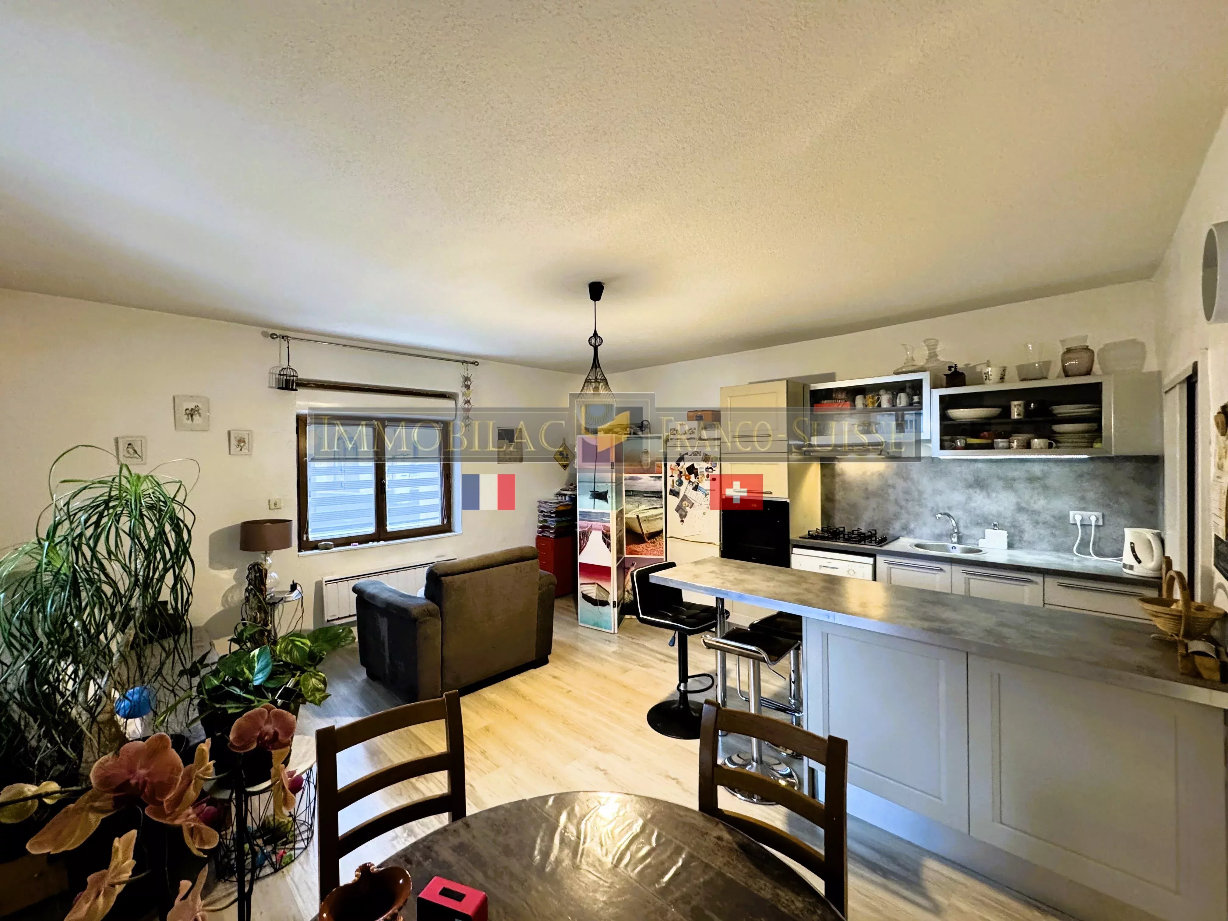 Agence immobilière de Immobilac Franco-Suisse