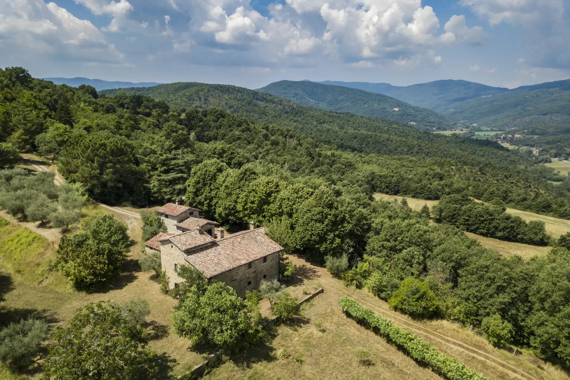 CASALE RUSTICO CON DEPENDANCE E OLIVETO IN VENDITA A CITTÀ DI CASTELLO