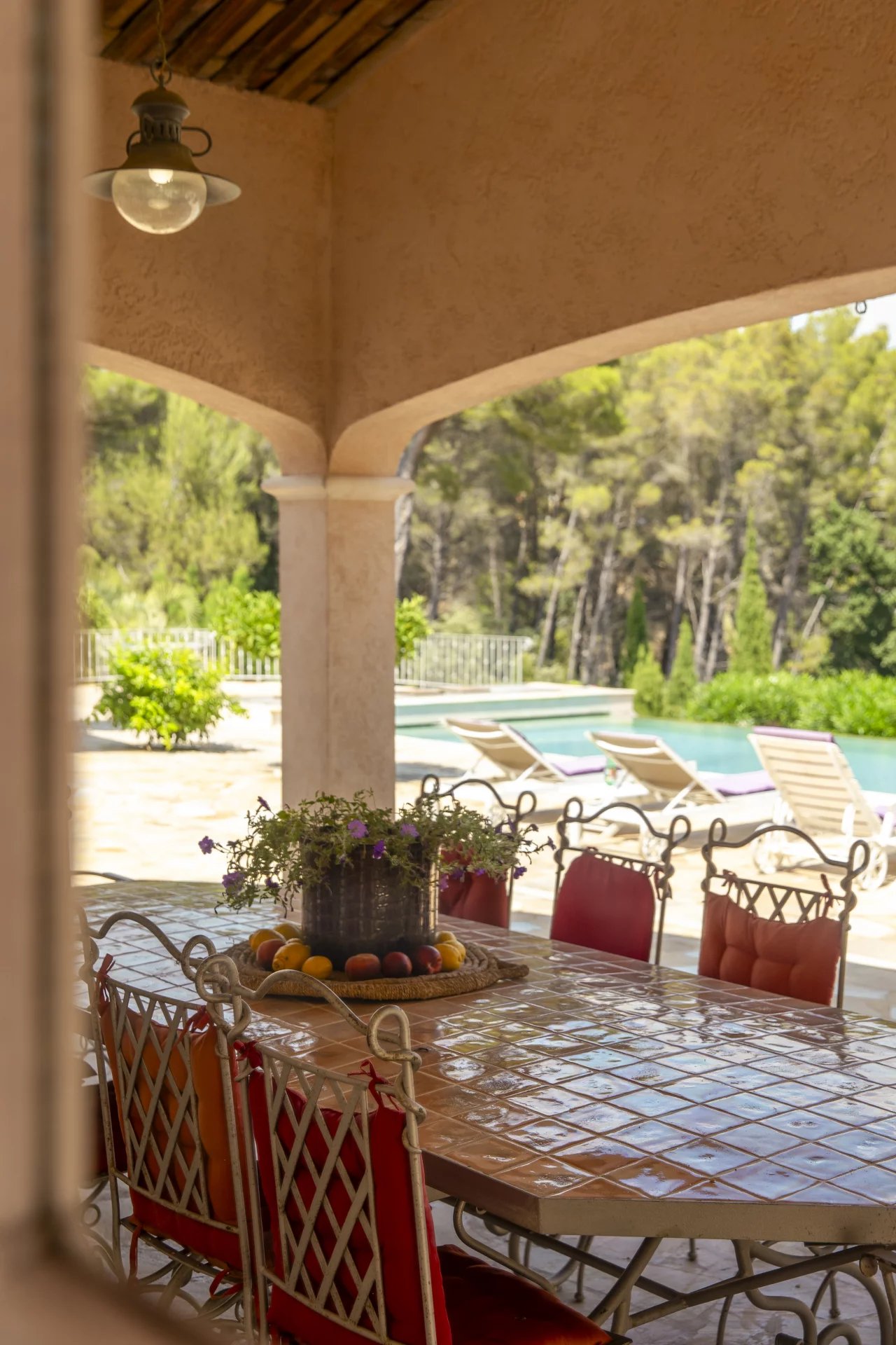 Magnificent property - Cabris