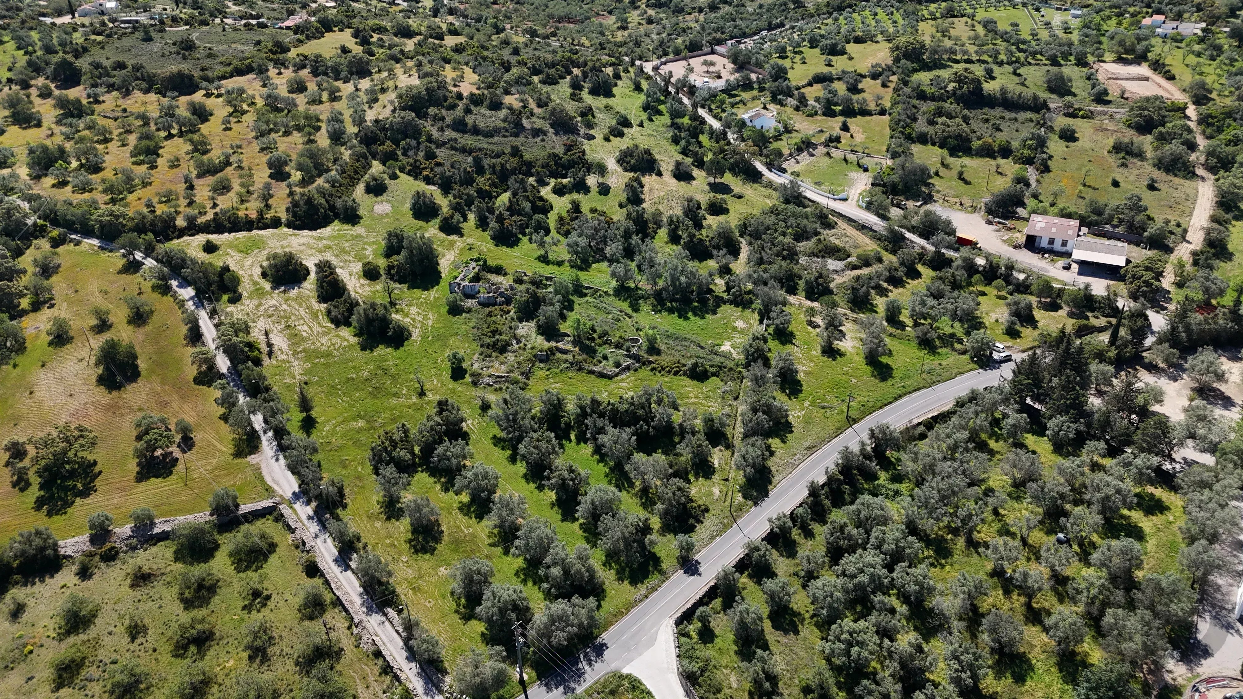 Ruins with Approved Project | 750m² of Construction | 39,960m² of Land | Santa Bárbara de Nexe 86965238 image 2