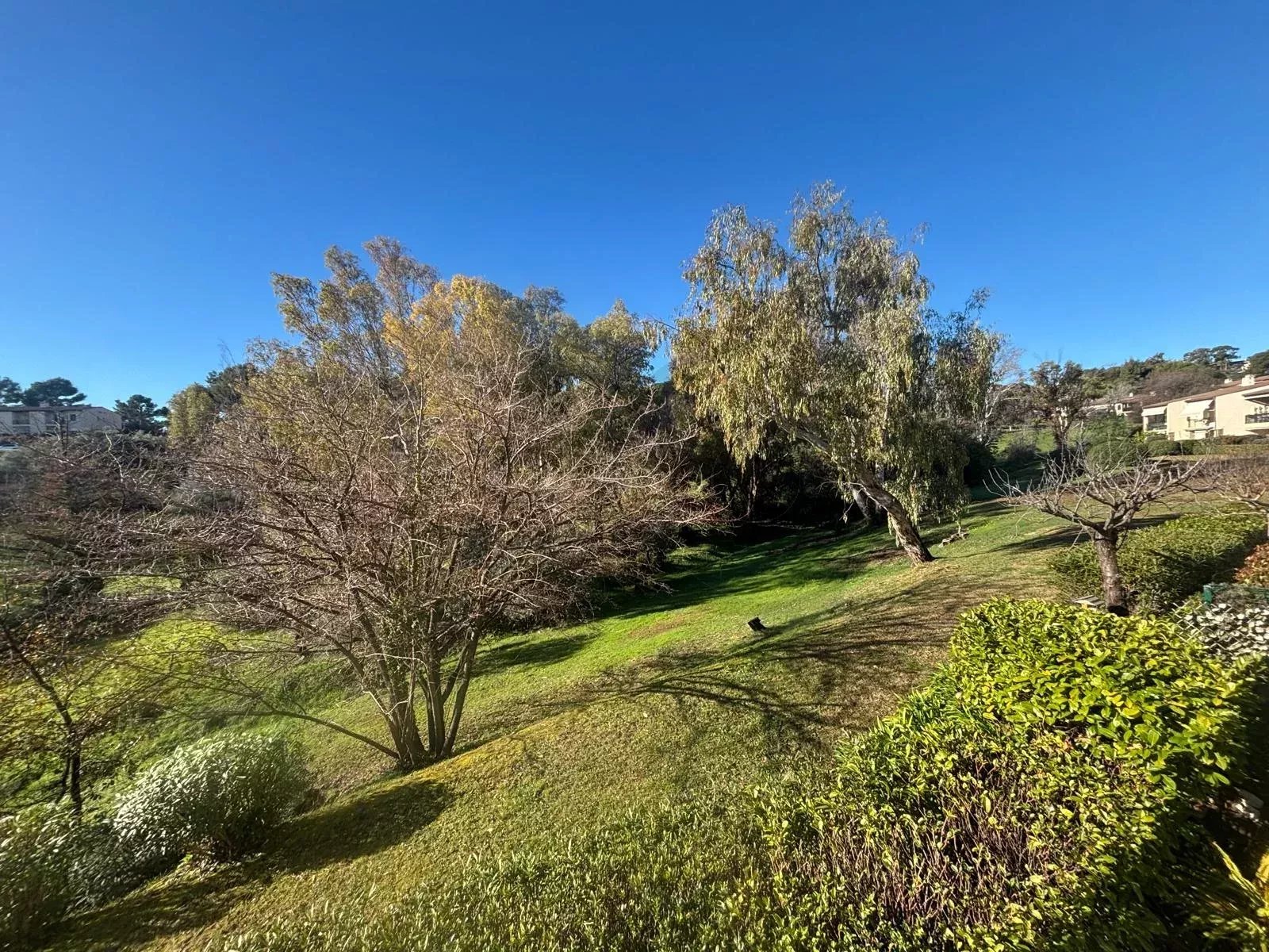 Agence immobilière de Agence centrale