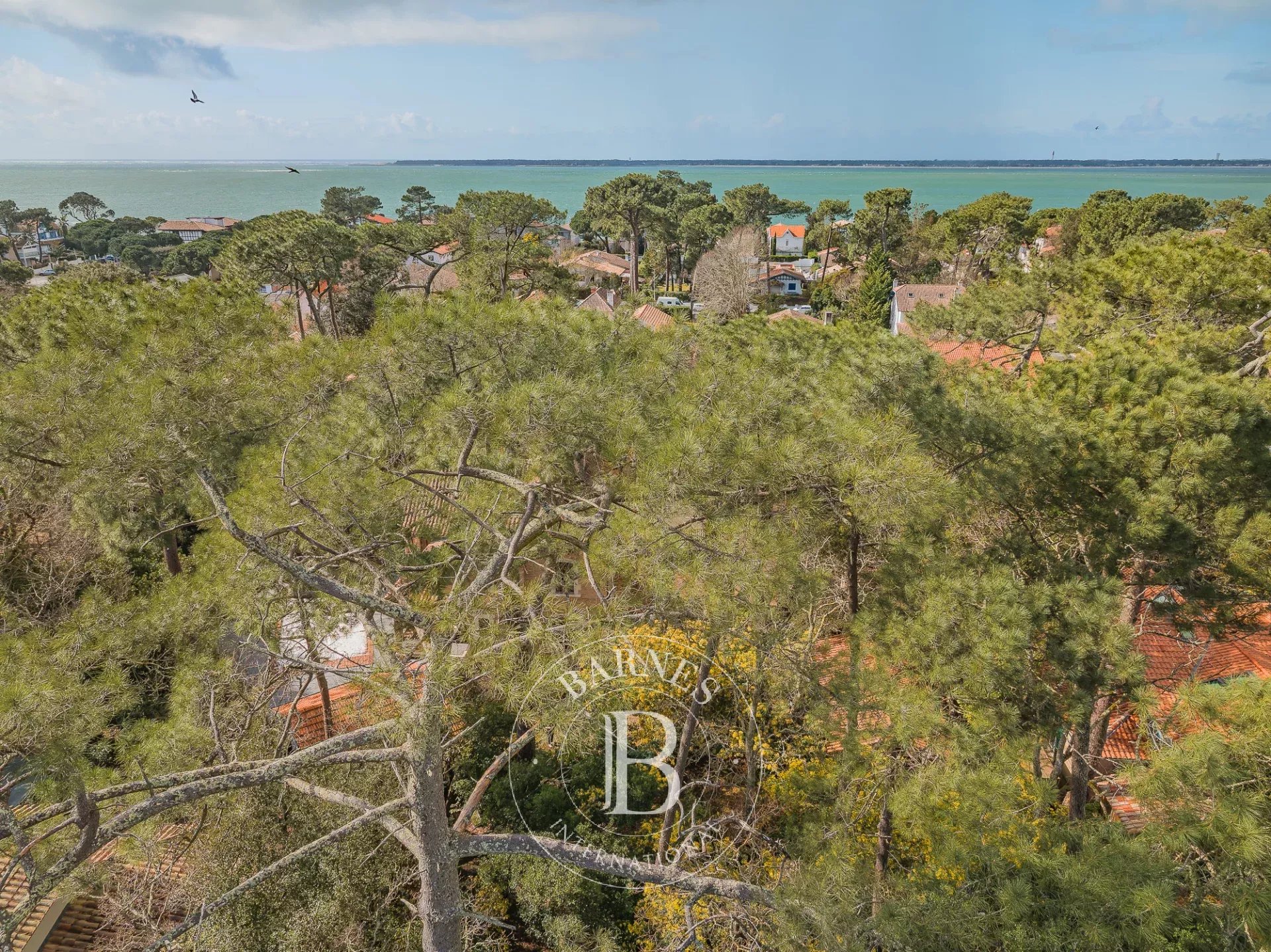 Villa Pyla-sur-Mer - picture 12