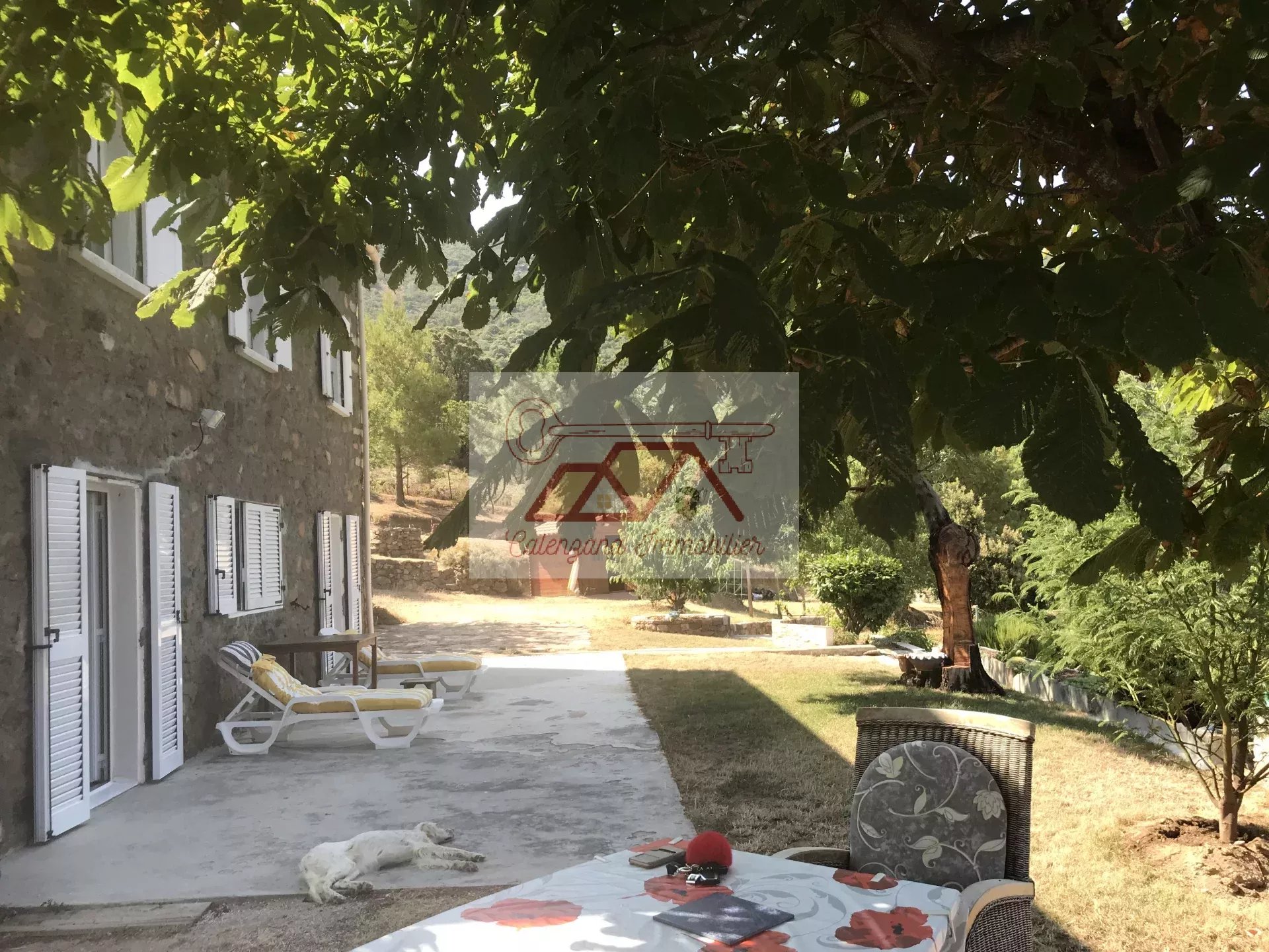 Agence immobilière de 