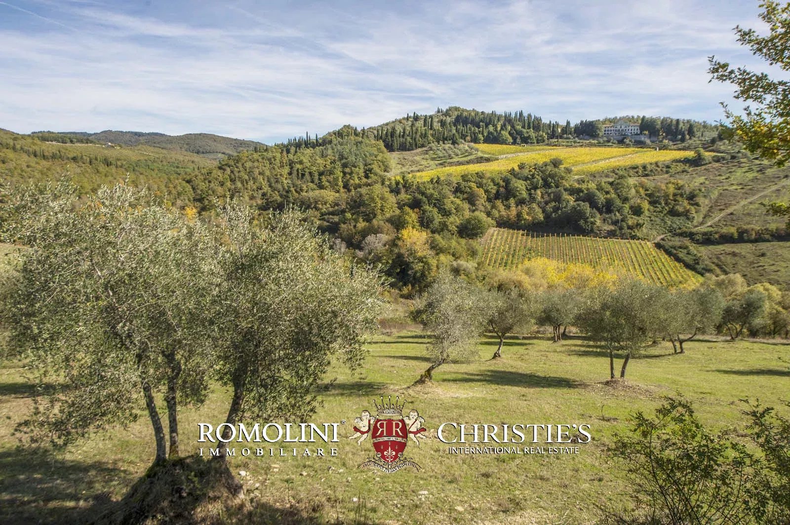LUXURY HISTORICAL VILLA FOR SALE IN RADDA IN CHIANTI, TUSCANY