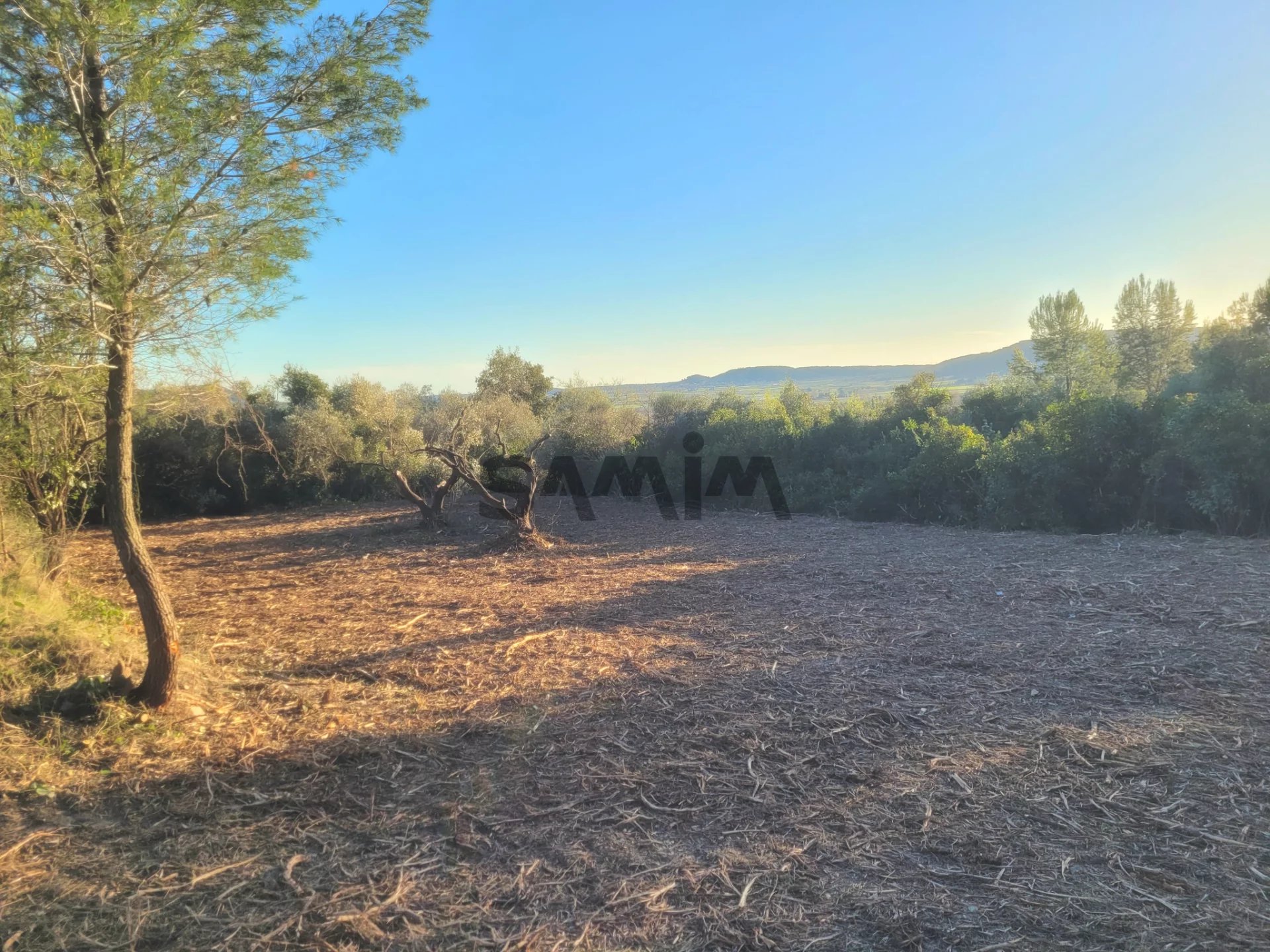 À VENDRE - TERRAIN AGRICOLE ARBORE 1113 m2 - VUE DOMINANTE C