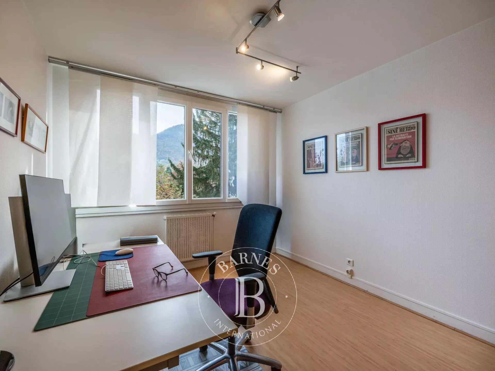 Daire Annecy - picture 8