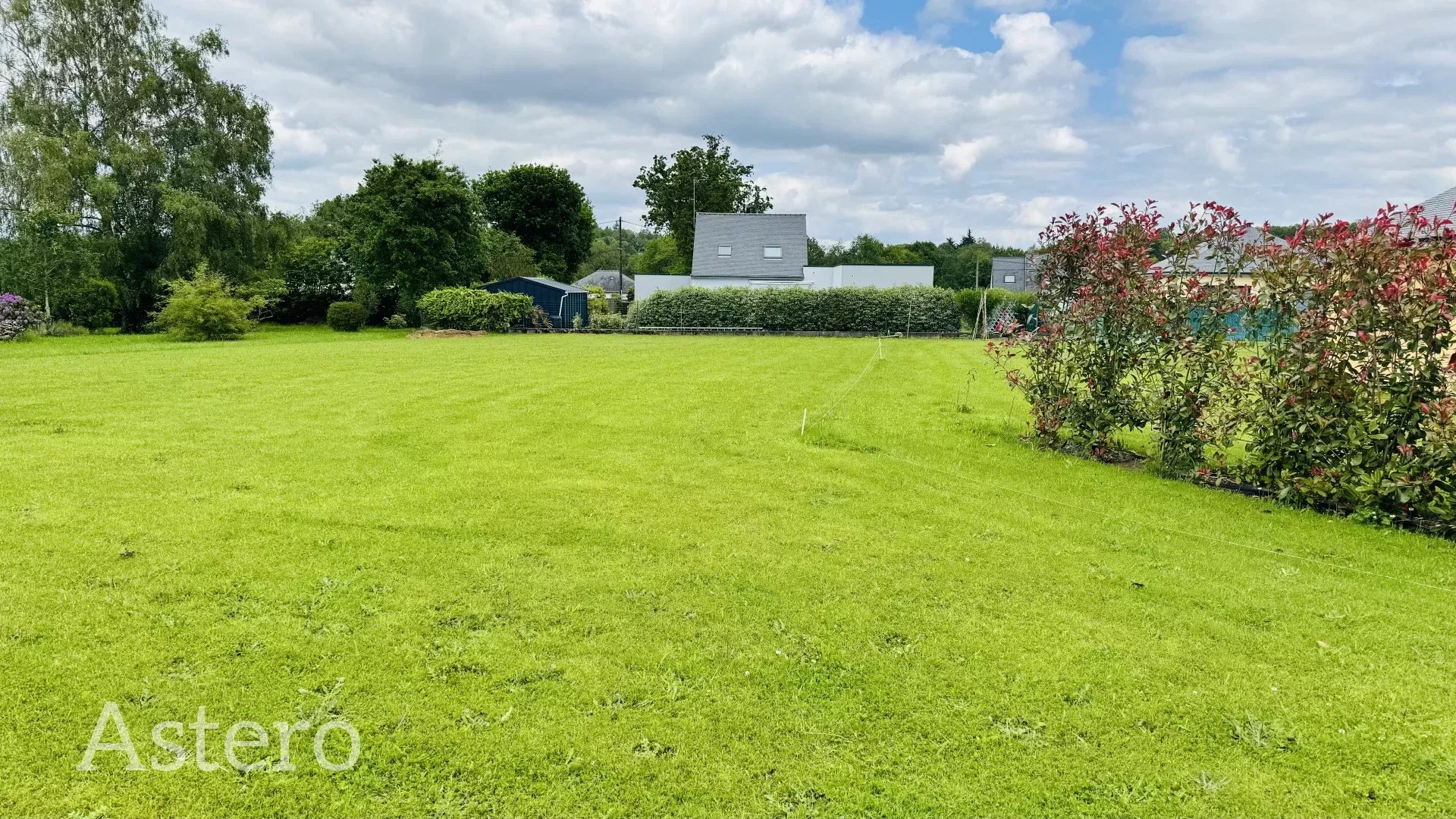 Agence immobilière de 