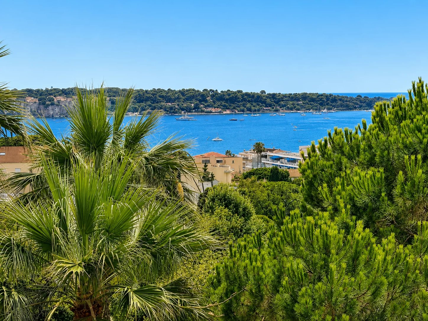 CANNES BASSE CALIFORNIE  - 3P LUXE - VUE MER