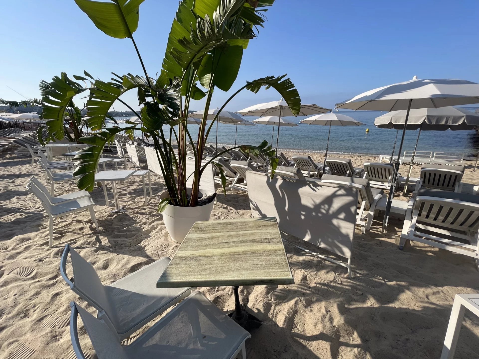 EXCLUE PLAGE 1000 M2 ET RESTAIRANT