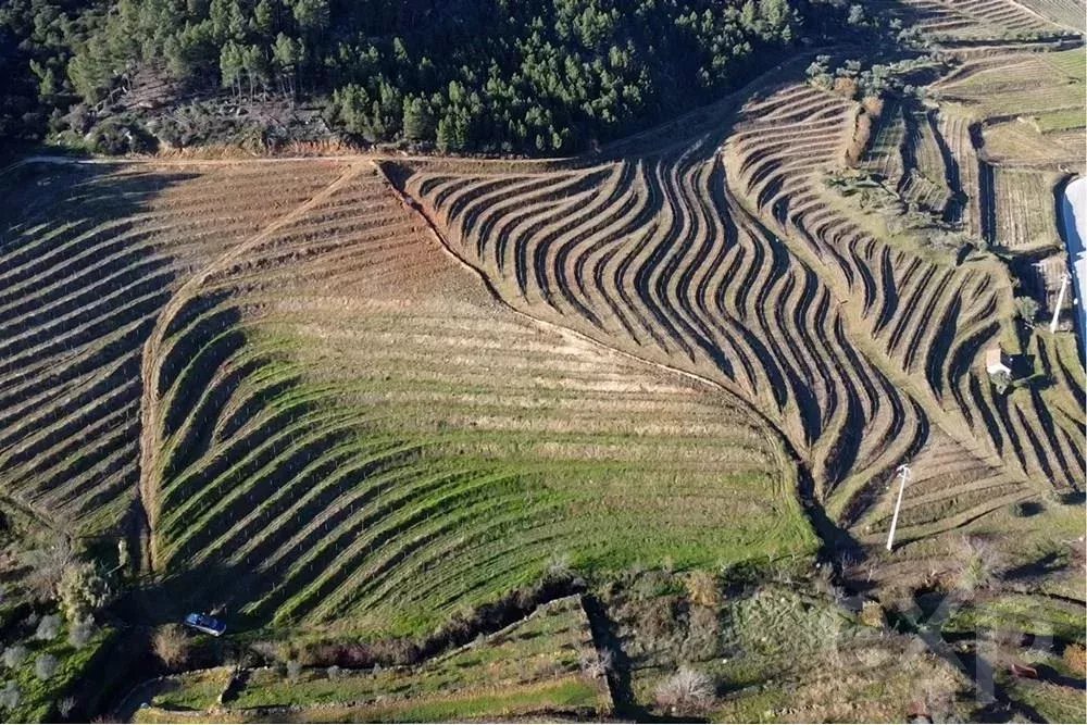 City Center Property Portimão 350 m from Beach 2.8 Km 85506834 image 36