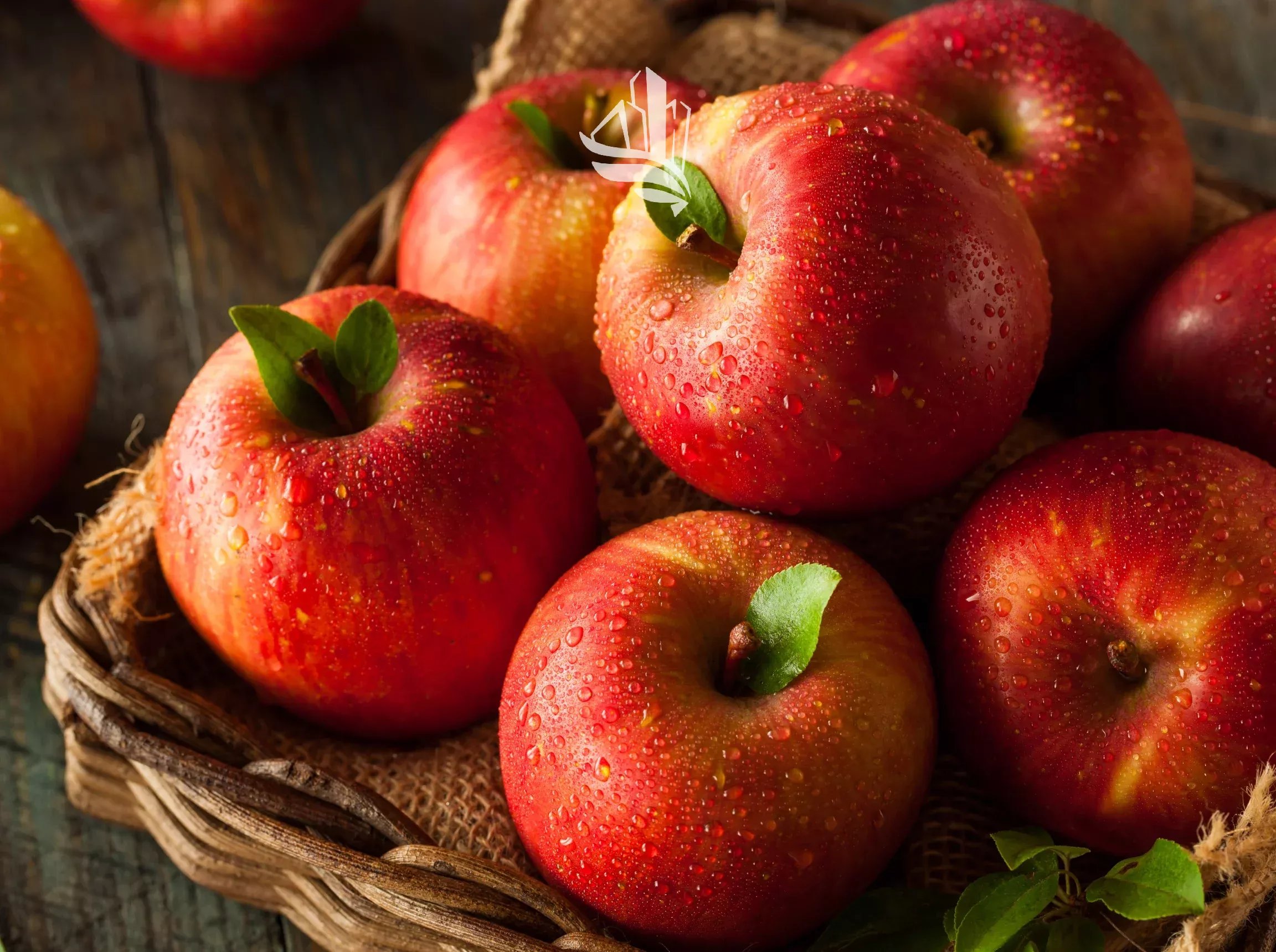 Auer: Bio-Obstwiese
