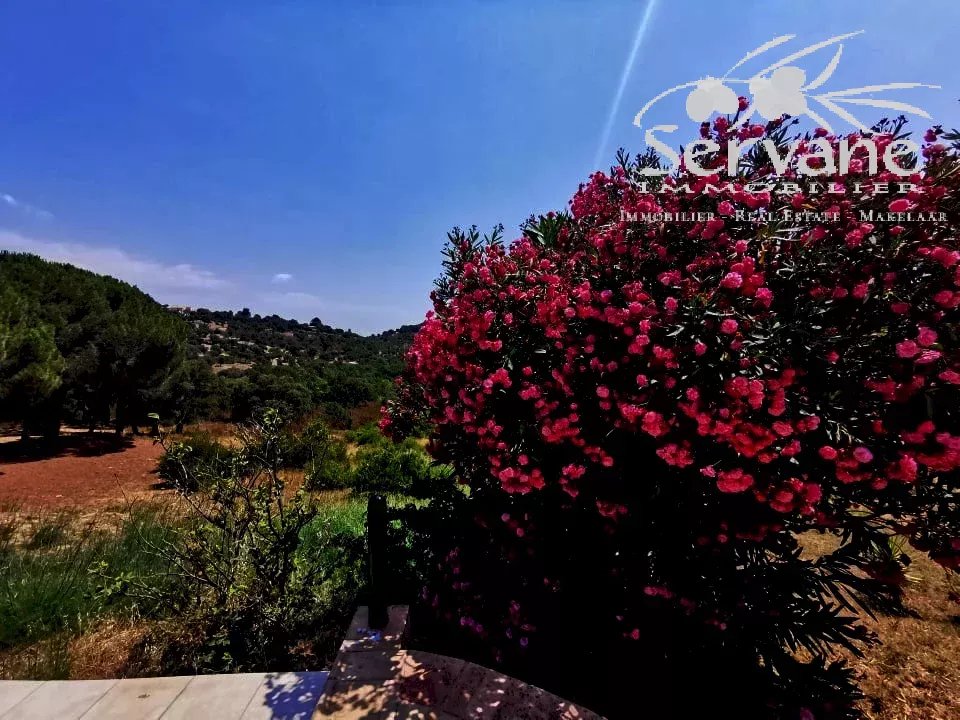 FOR SALE STONE PROPERTY WITH ANNEXES