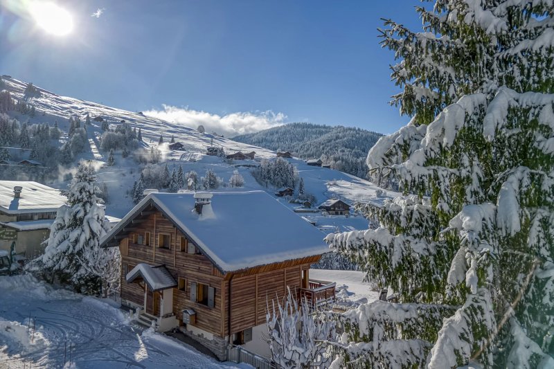 À vendre Chalet | La Clusaz - picture 1