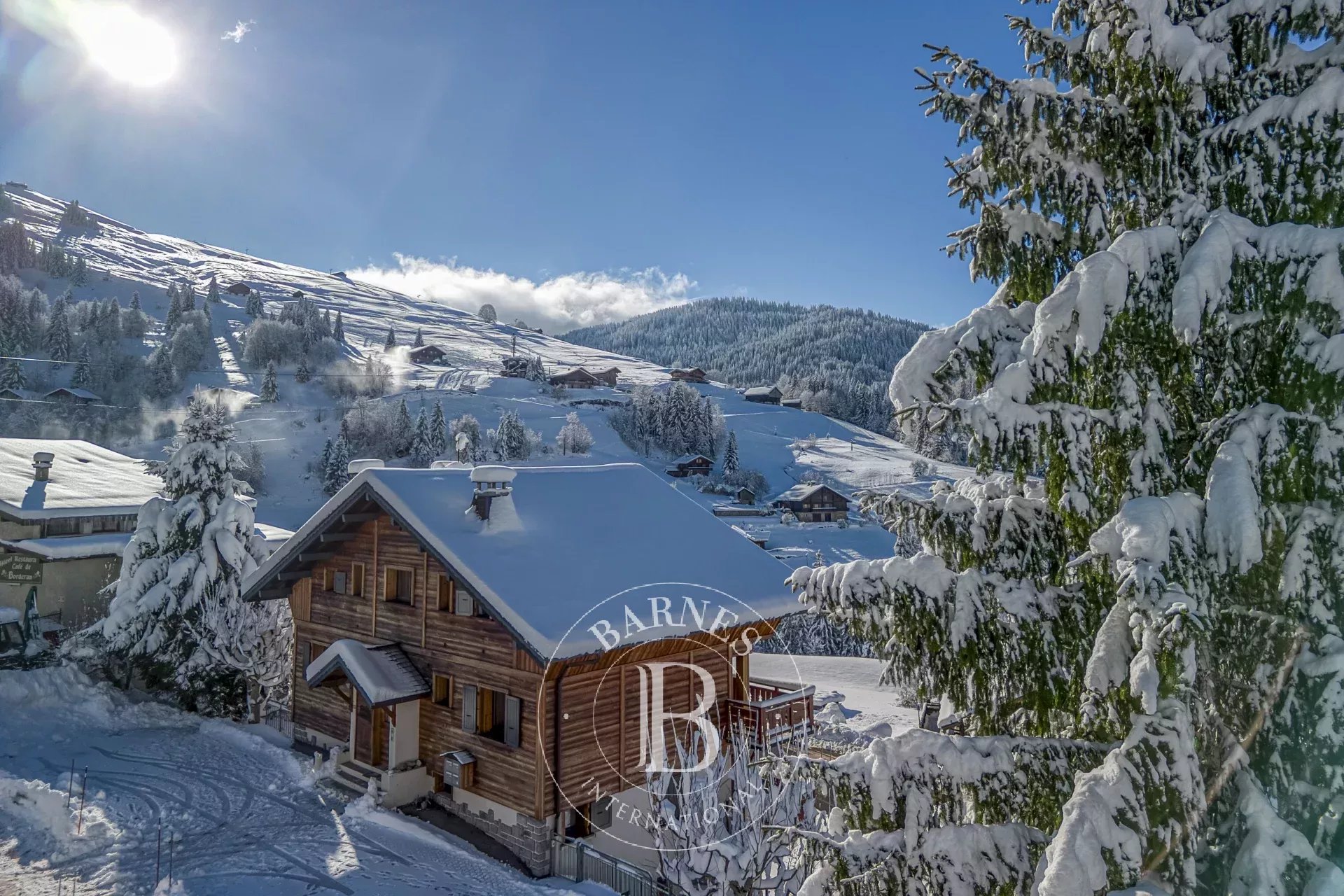 Chalet La Clusaz  -  ref 85458481 (picture 1)