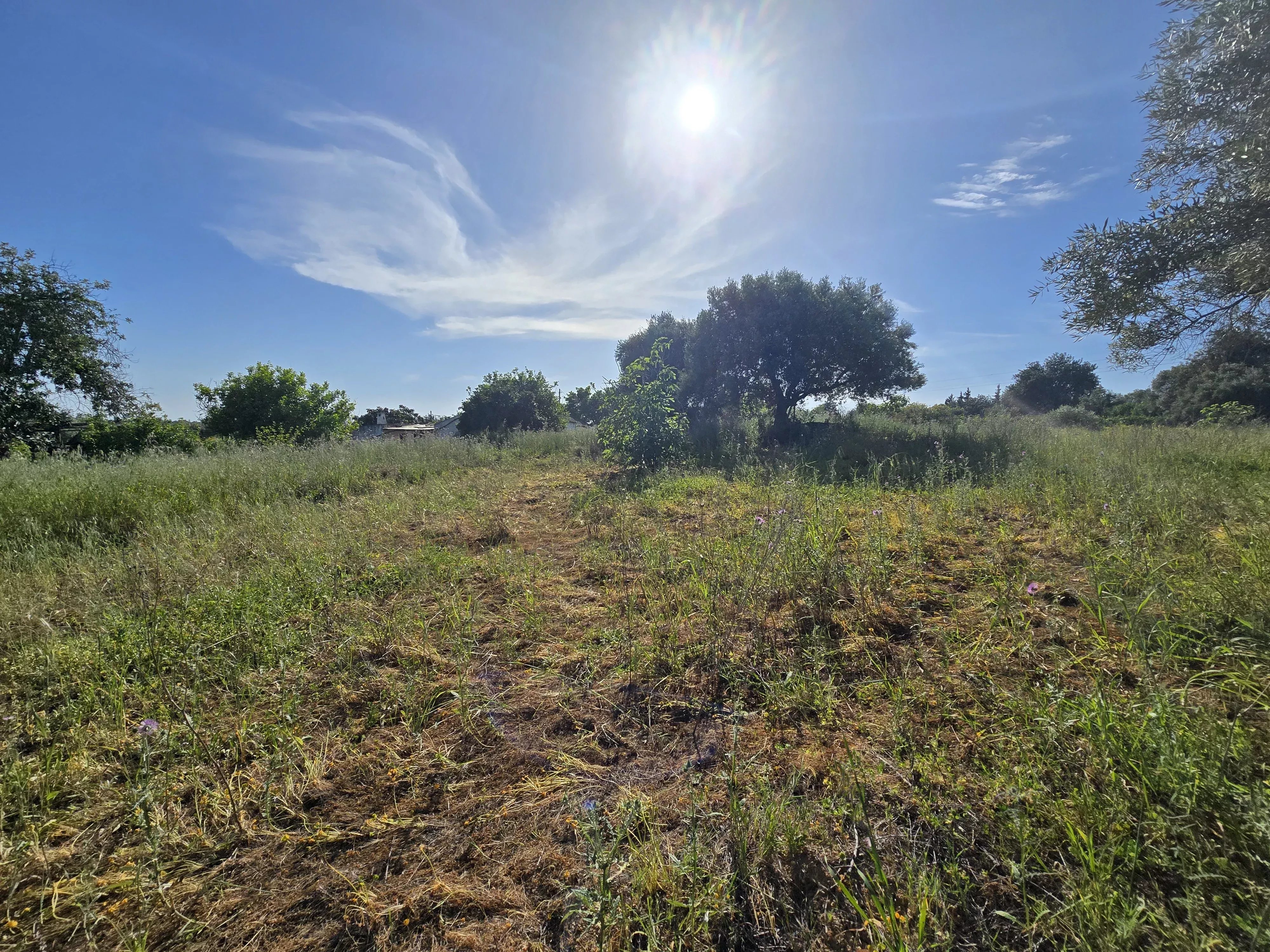 6 room Farmhouse with 1.5 hectares of land and sea view 86949039 image 5