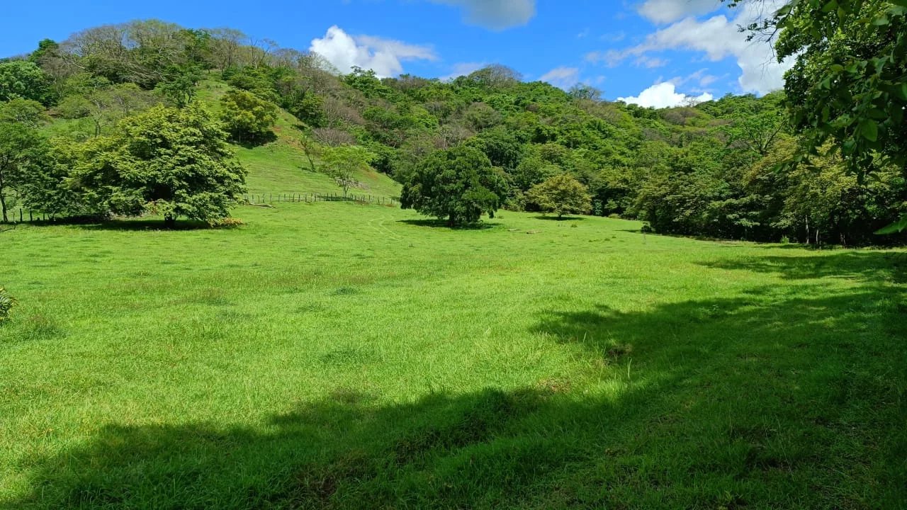 Lote en Proyecto Residencial con Servicios en San Pedro con Vistas a la Montaña