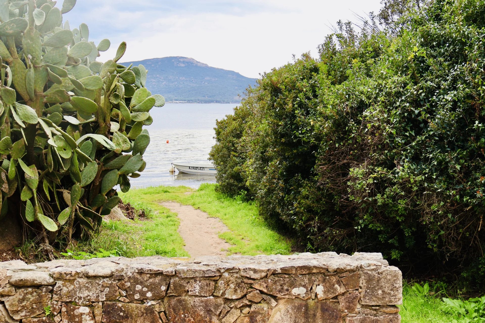 Agence immobilière de ALL IN ONE AGENCY