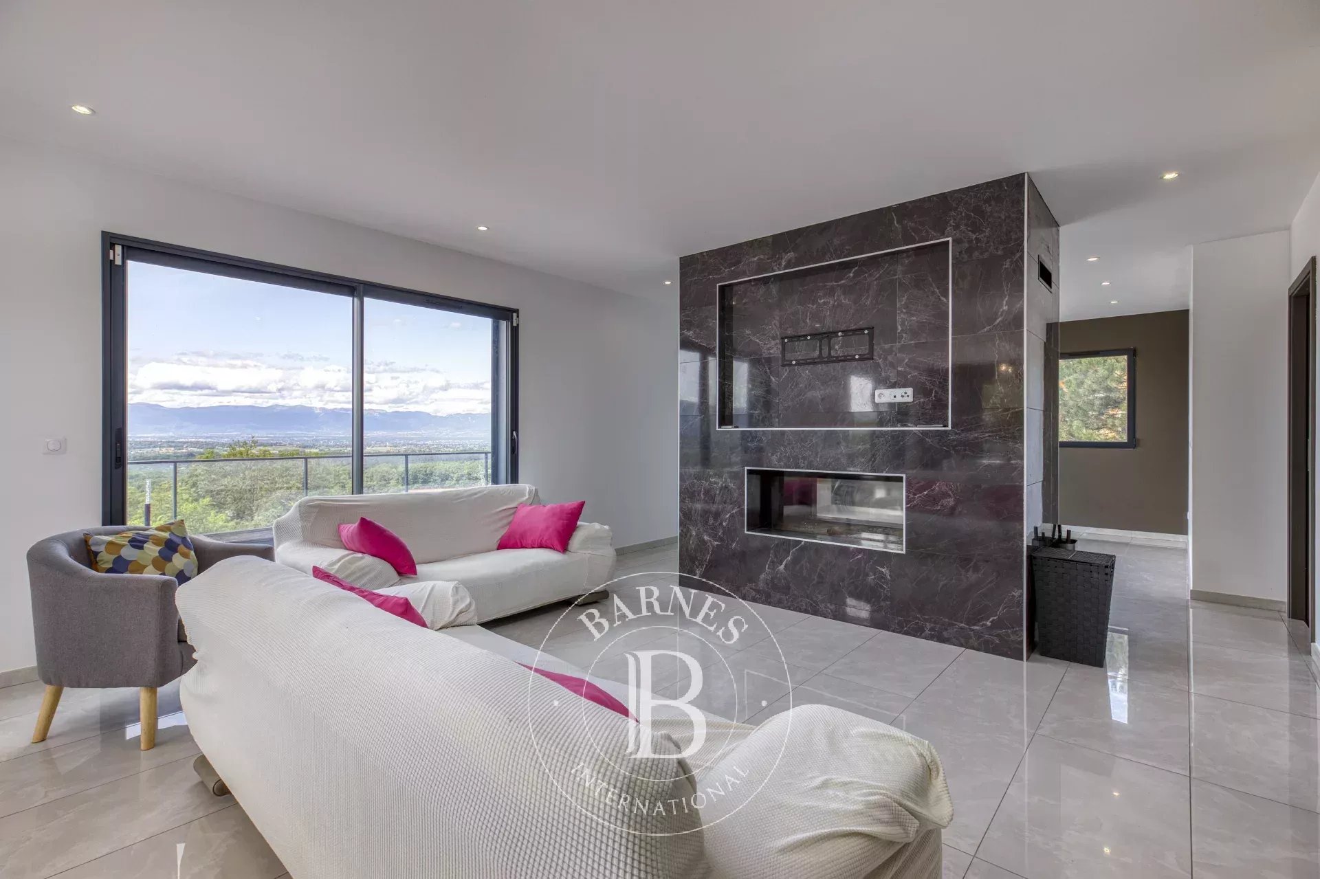 Ev Cranves-Sales - picture 4