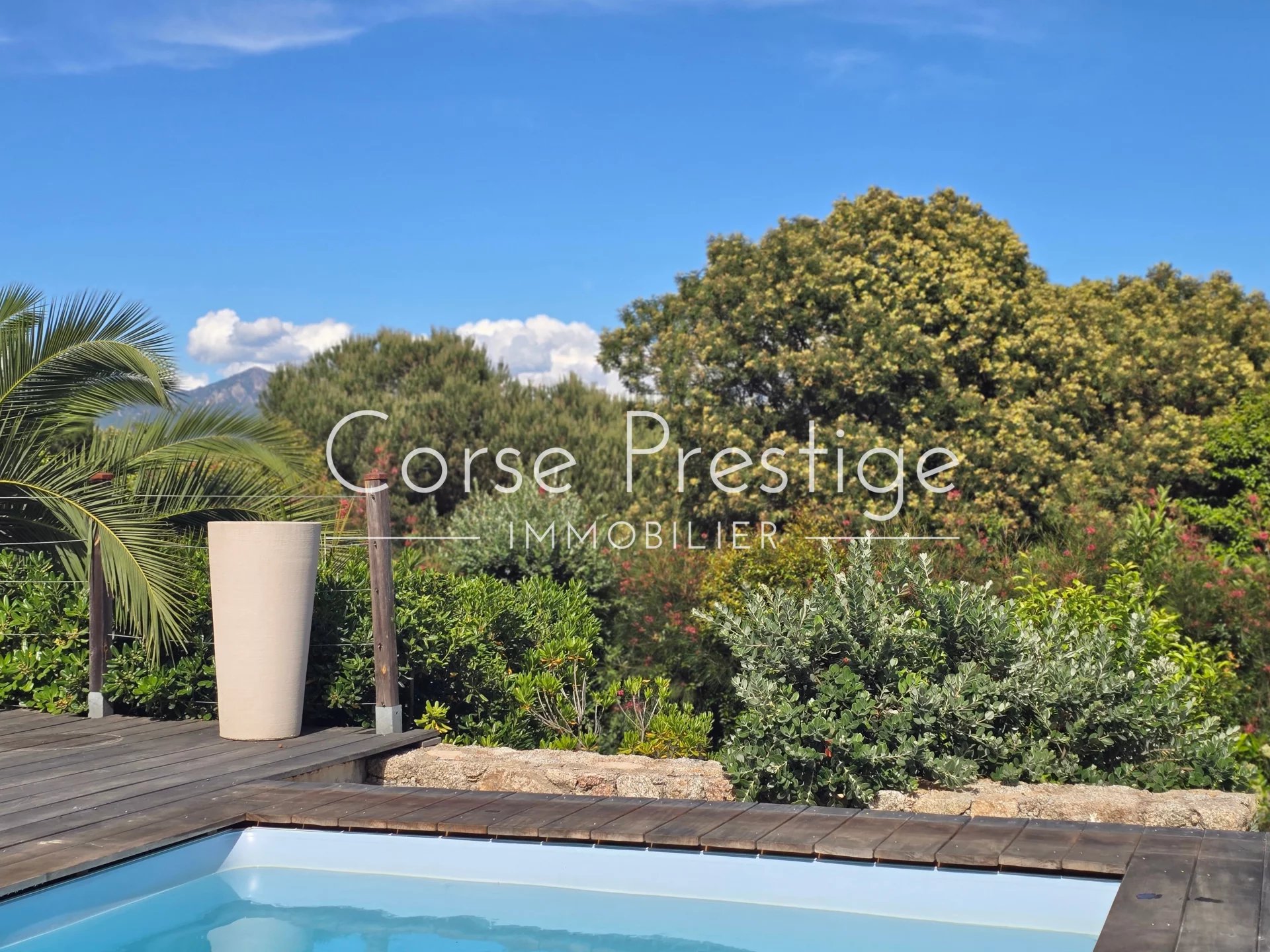 villa with swimming pool - porticcio - beach at walking distance - south corsica image3