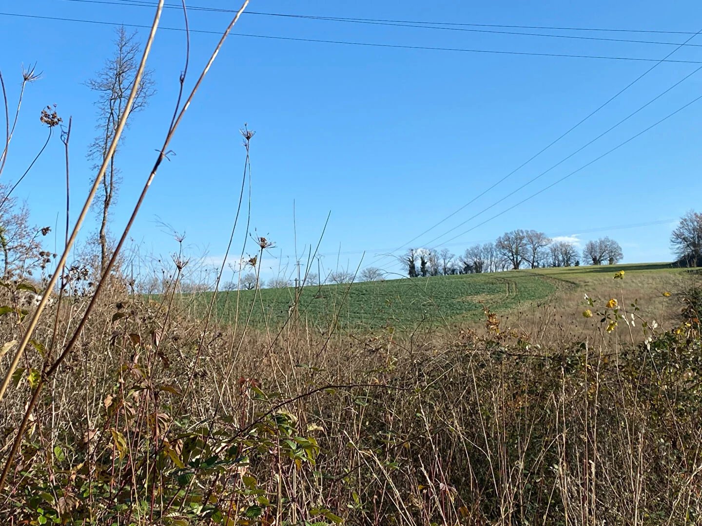 Vente Terrain Trélissac