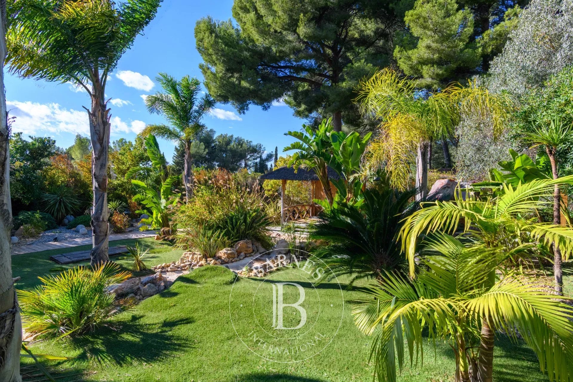 Ev Sanary-sur-Mer - picture 19