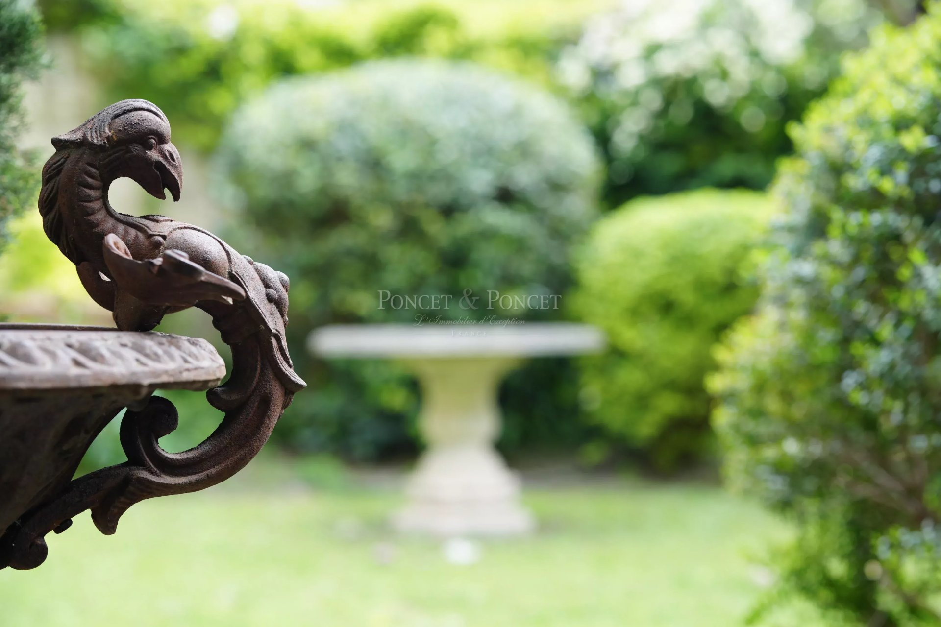 Property Slider Image