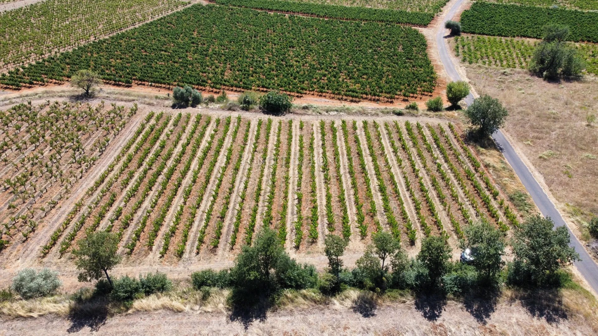 3 Bedroom Vineyard's Image 20