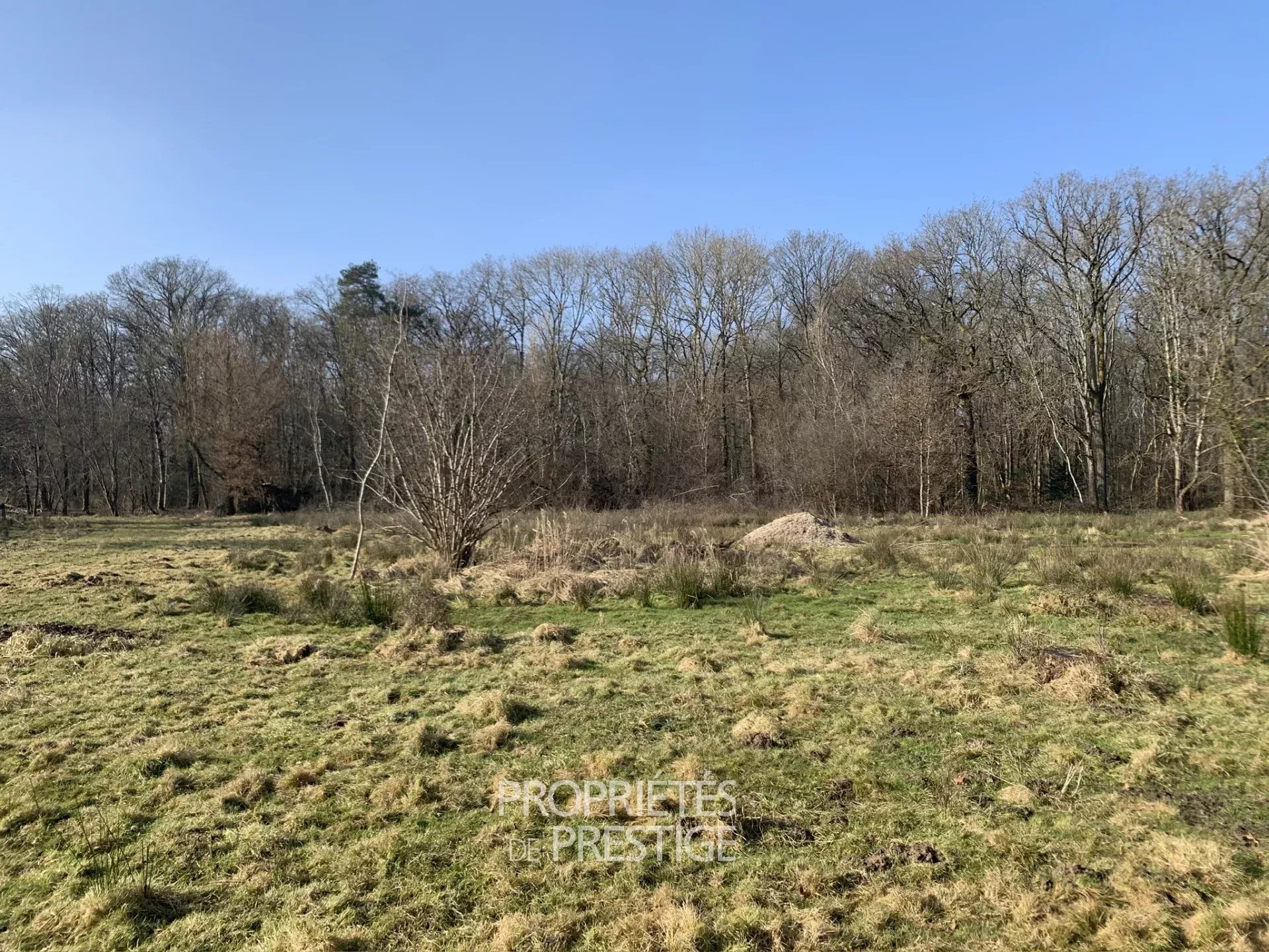 Agence immobilière de PROPRIETES DE PRESTIGE