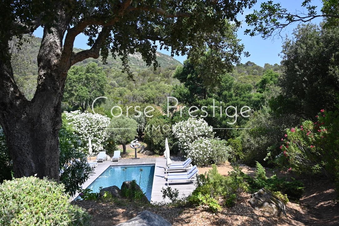 rare propriete en pleine nature a proximite de la mer - porto vecchio image7