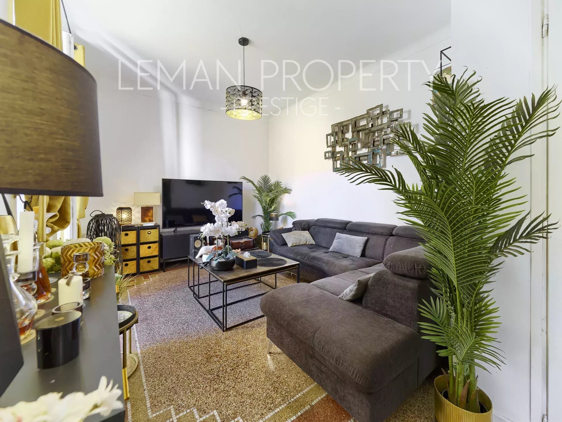 Vente Appartement Cannes