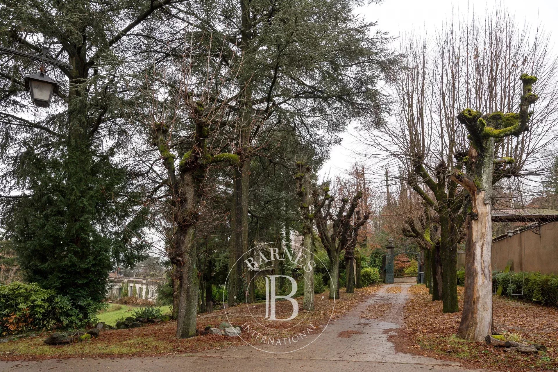 Ev Sainte-Foy-lès-Lyon - picture 13