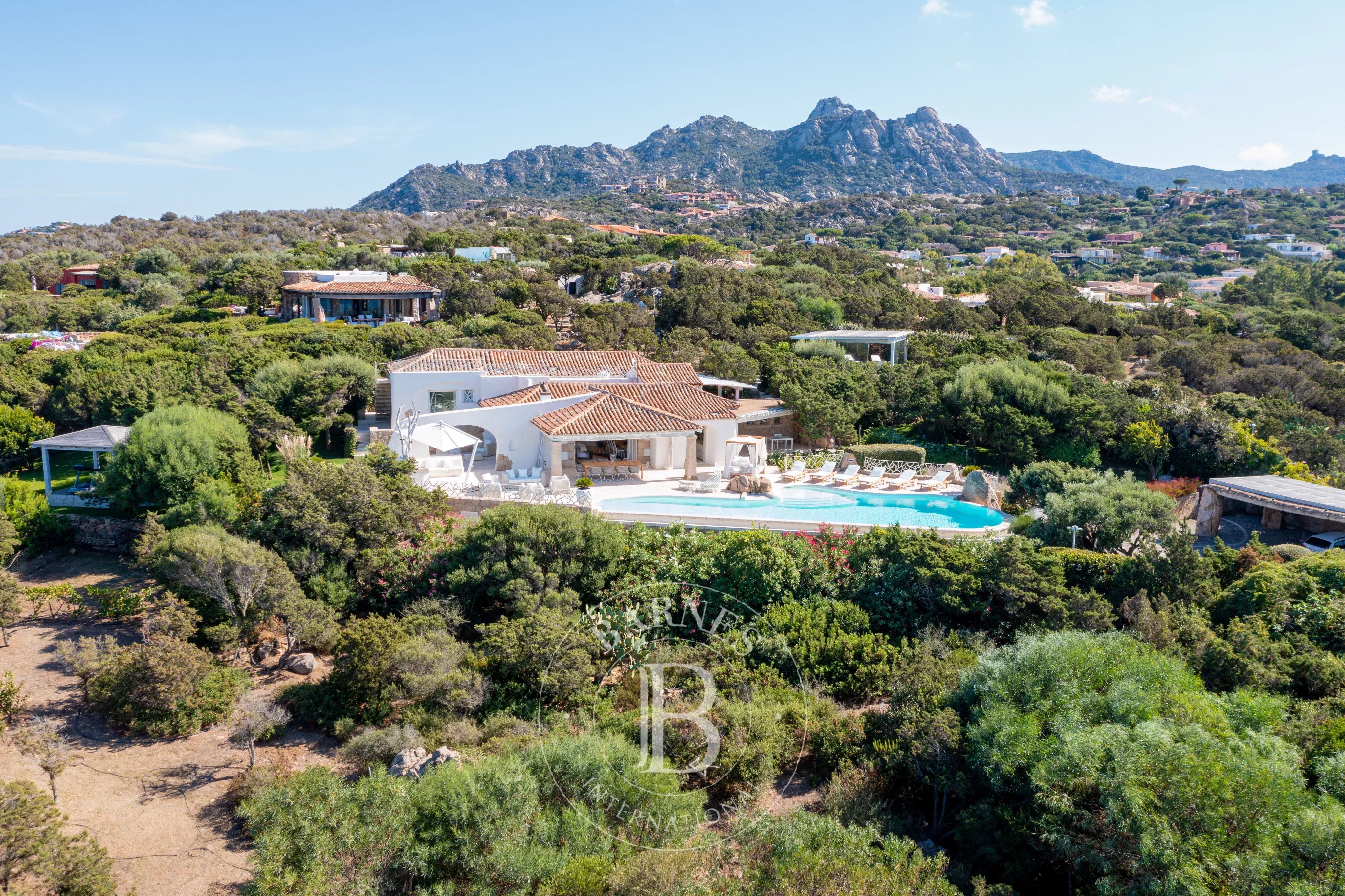 Arzachena  - Villa  7 Chambres - picture 4