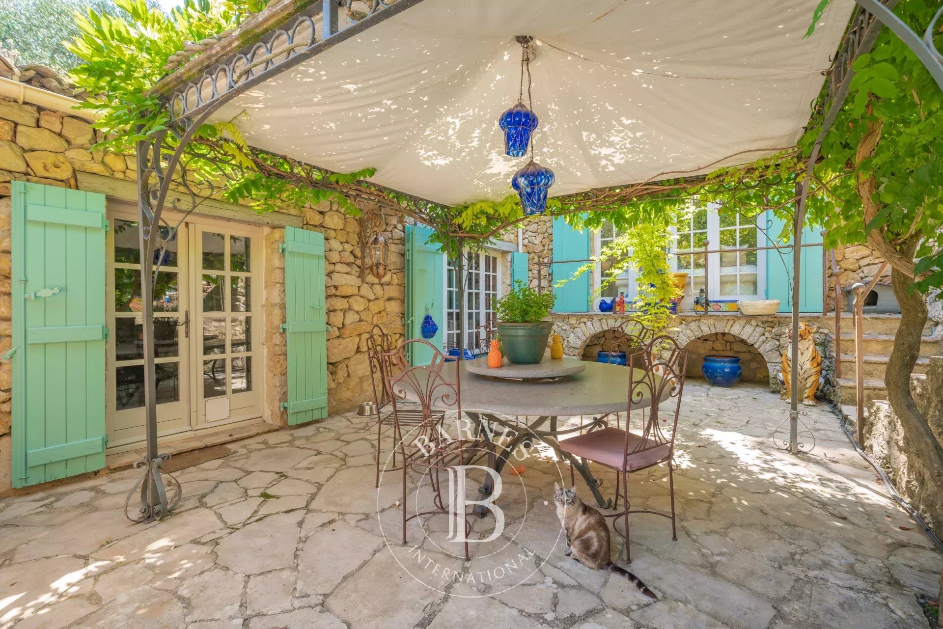 Ev Opio - picture 10