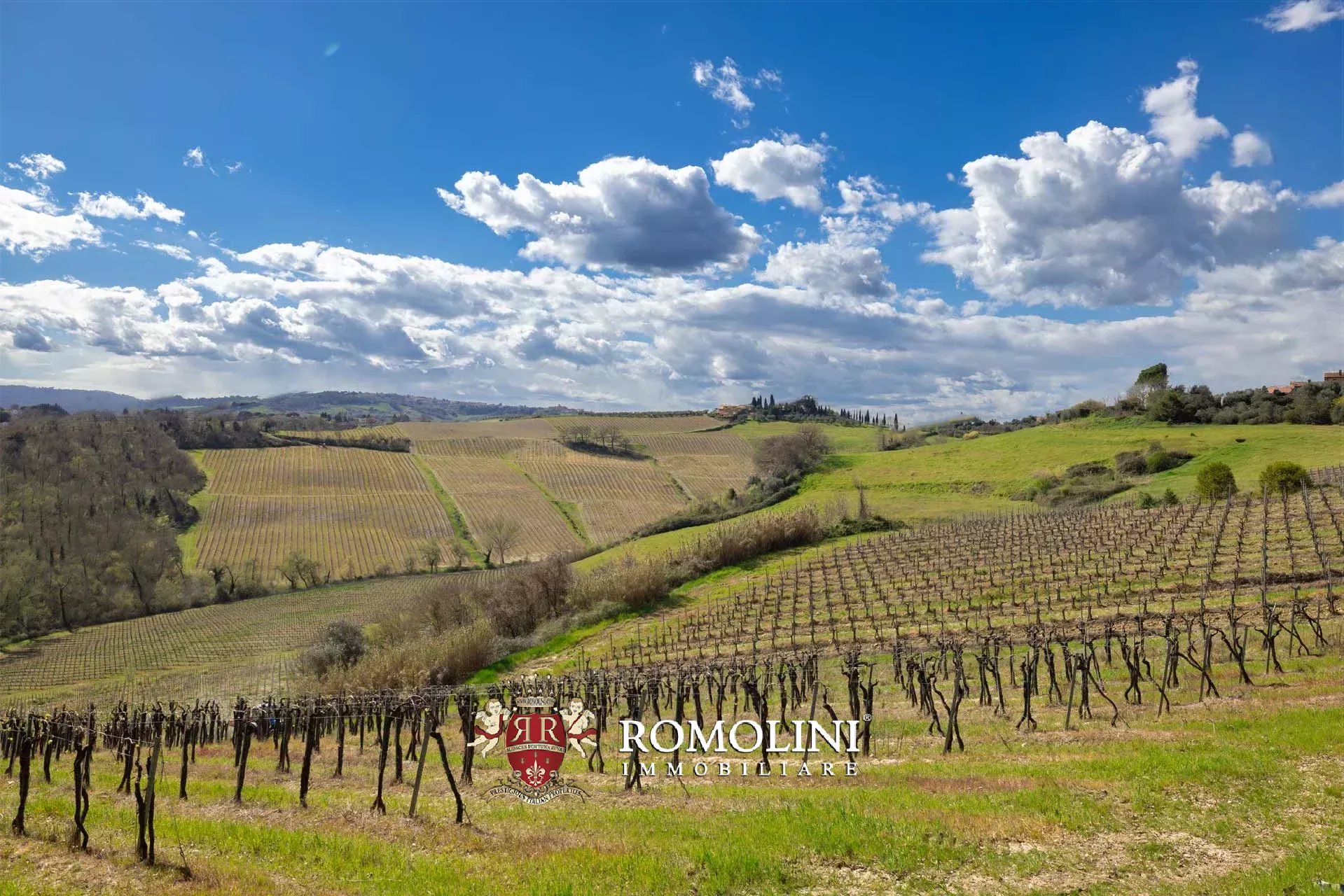 15 Bedroom Vineyard's Image 15
